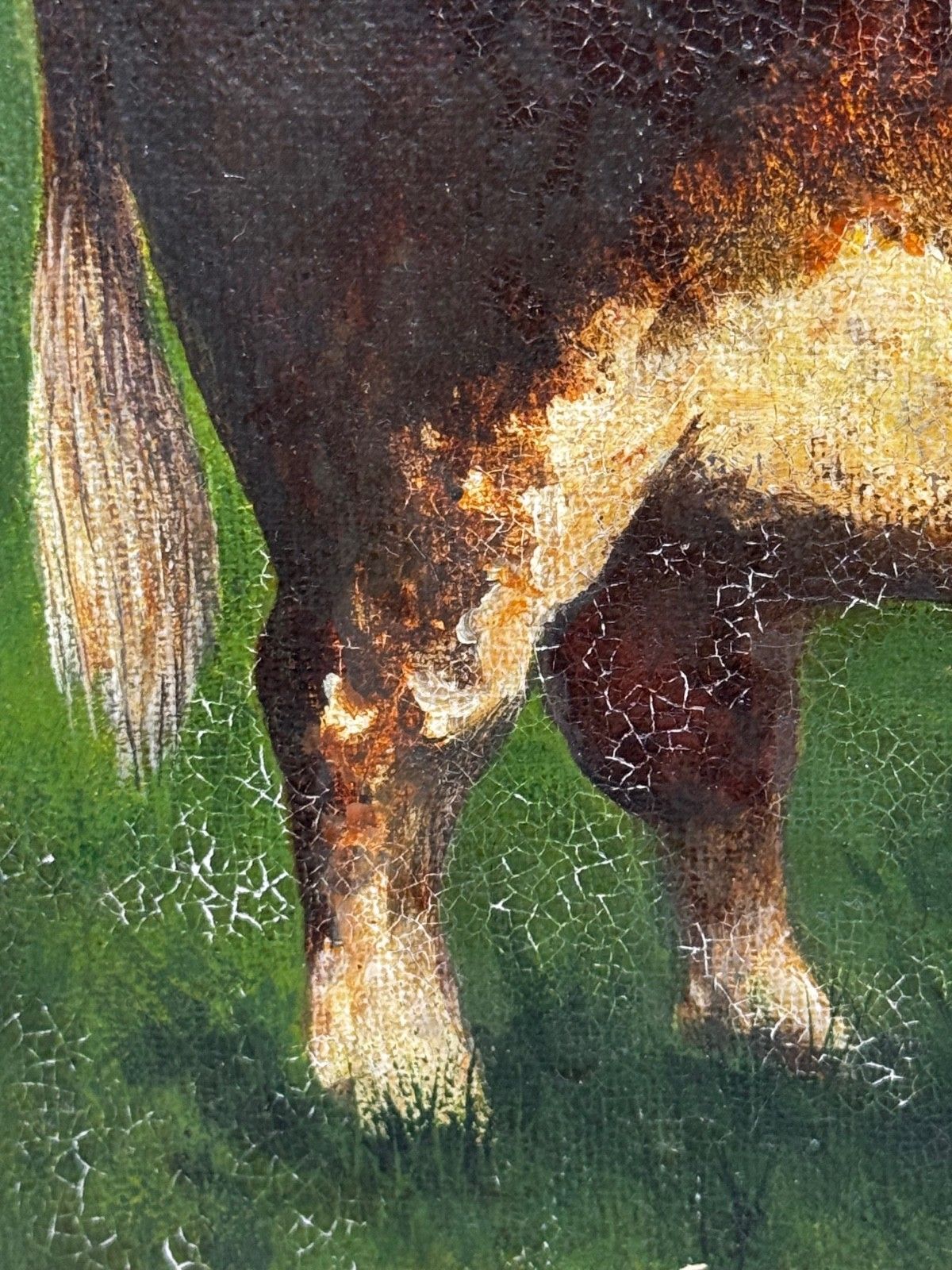 photo buy Olieverfschilderij Bekroonde Hereford Stier Pastoraal Landschap in de Stijl van William Henry Davis