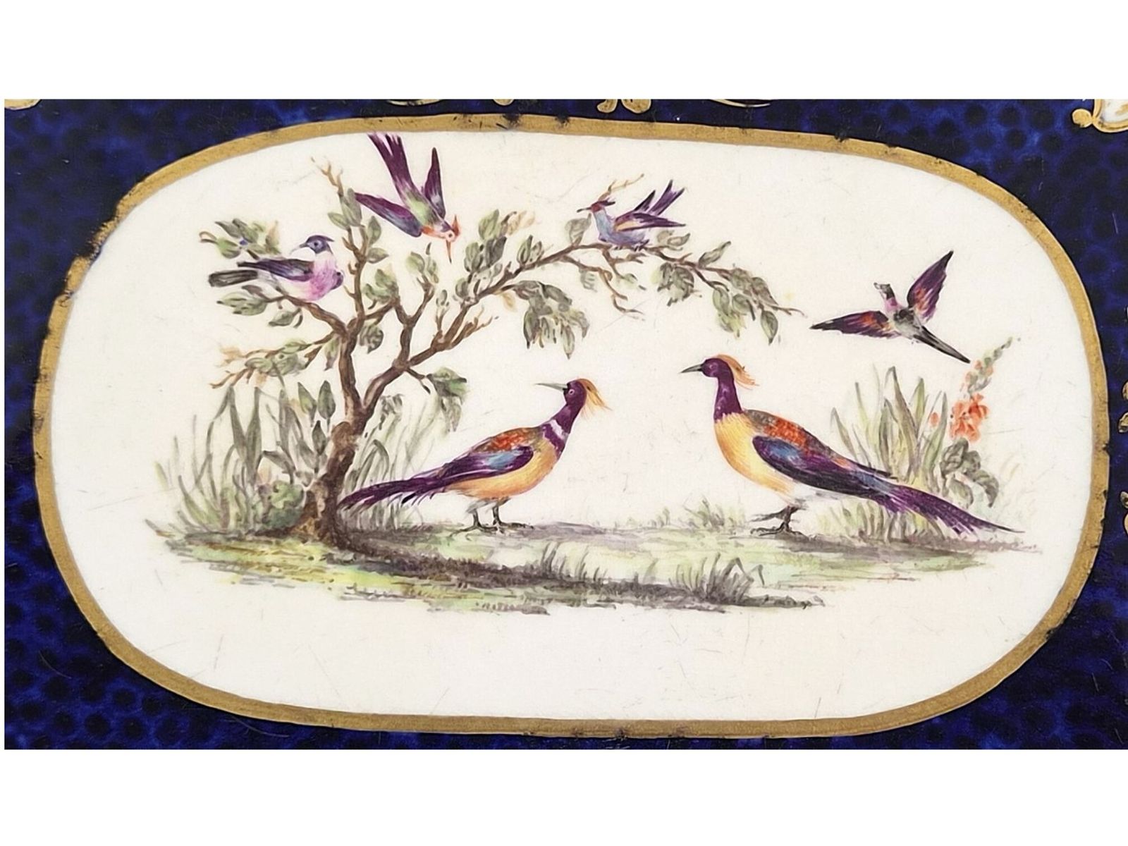 photo for sale Engels dienblad met exotische vogels, Worcester en James Giles traditie, midden 19e eeuw