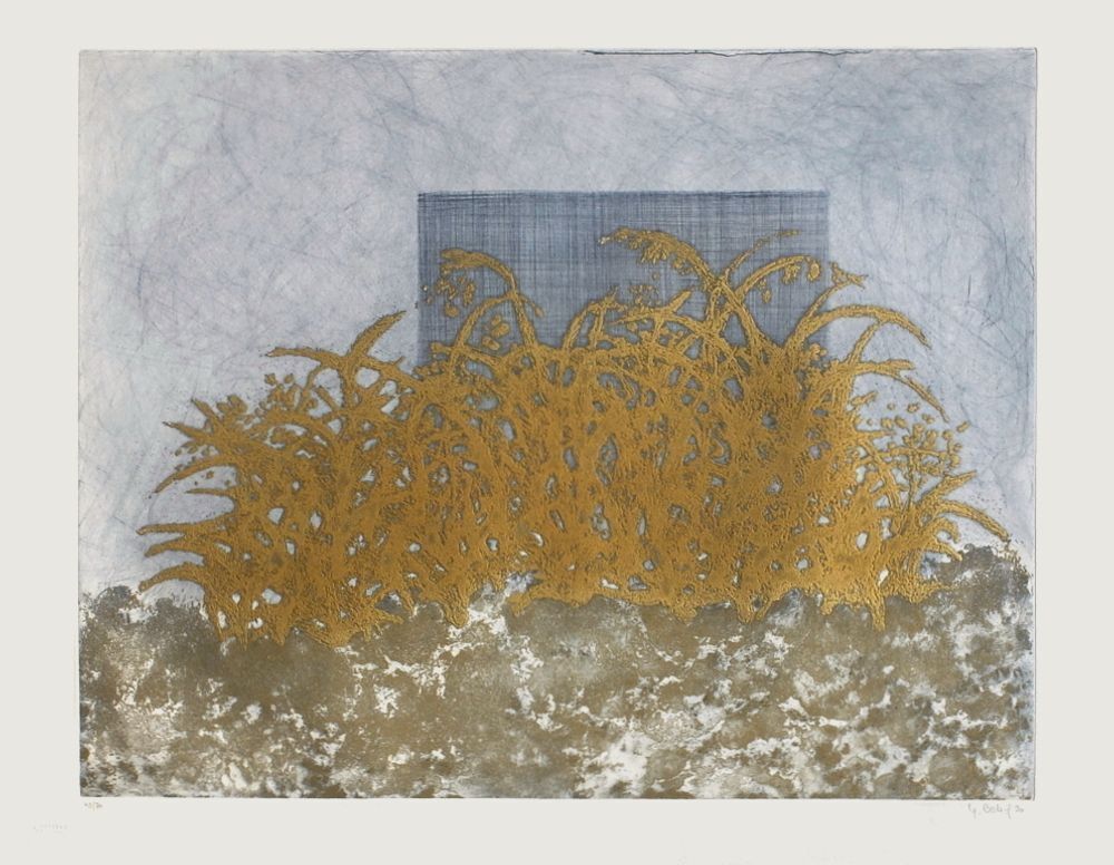 Yannick Ballif Signed Etching Eaux Vives 1990