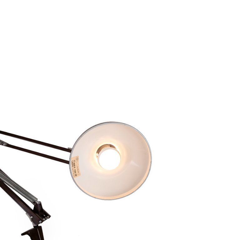 Original Ledu Type 231 Table Lamp, Architect's Lamp, Clamp Lamp photo buy