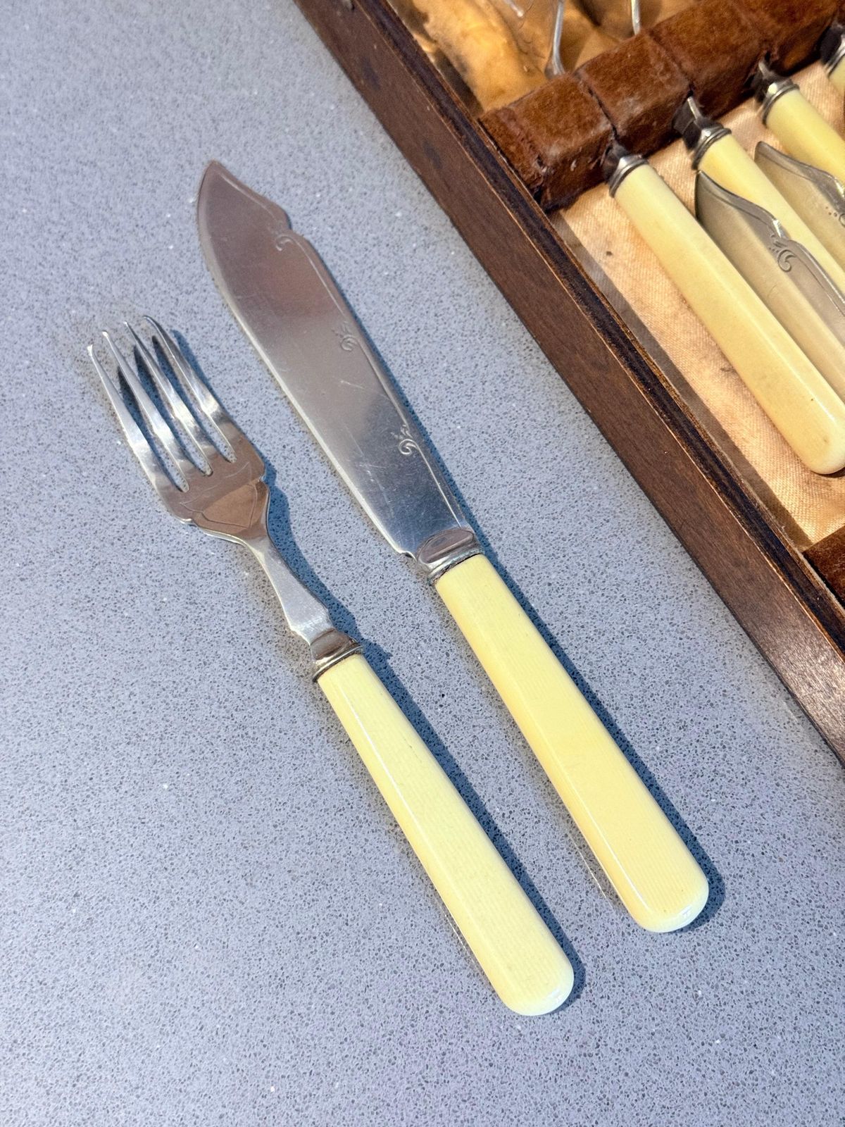 Verzilverd Visbestek met Imitatie-ivoren Handvatten, Antieke Doos photo furniture