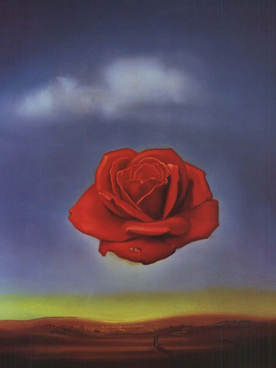 Salvador Dali Meditative Rose 2002 Surrealist Offset Lithograph Art Poster photo furniture