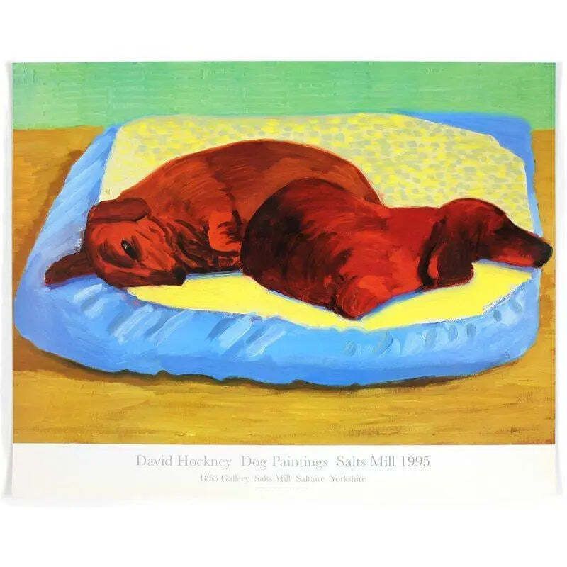 David Hockney Dog 43 Original 1995 Offset Lithograph Art Print