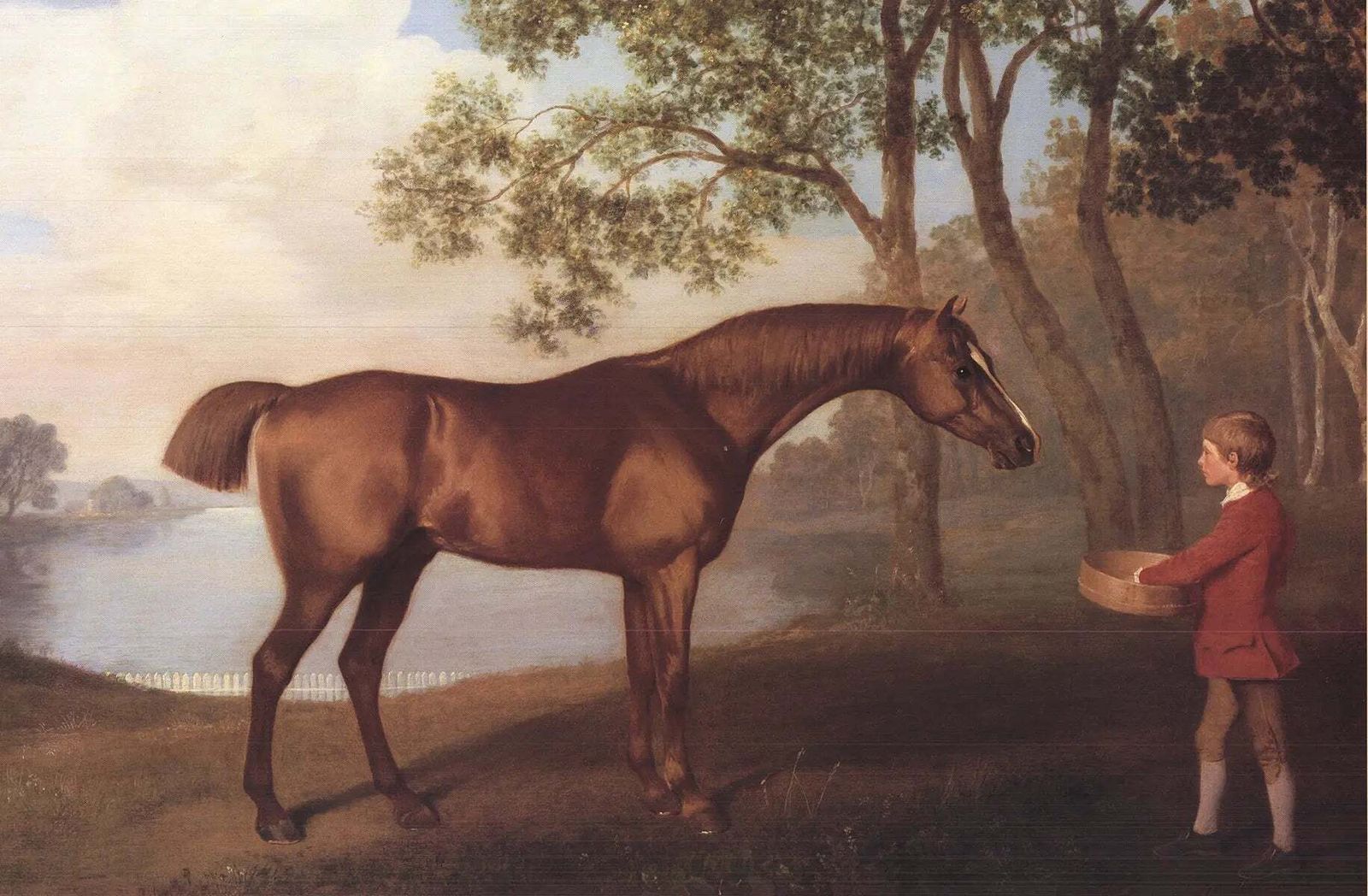 George Stubbs Pumpkin With A Stable Lad Offset Lithograph Art Poster photo for sale