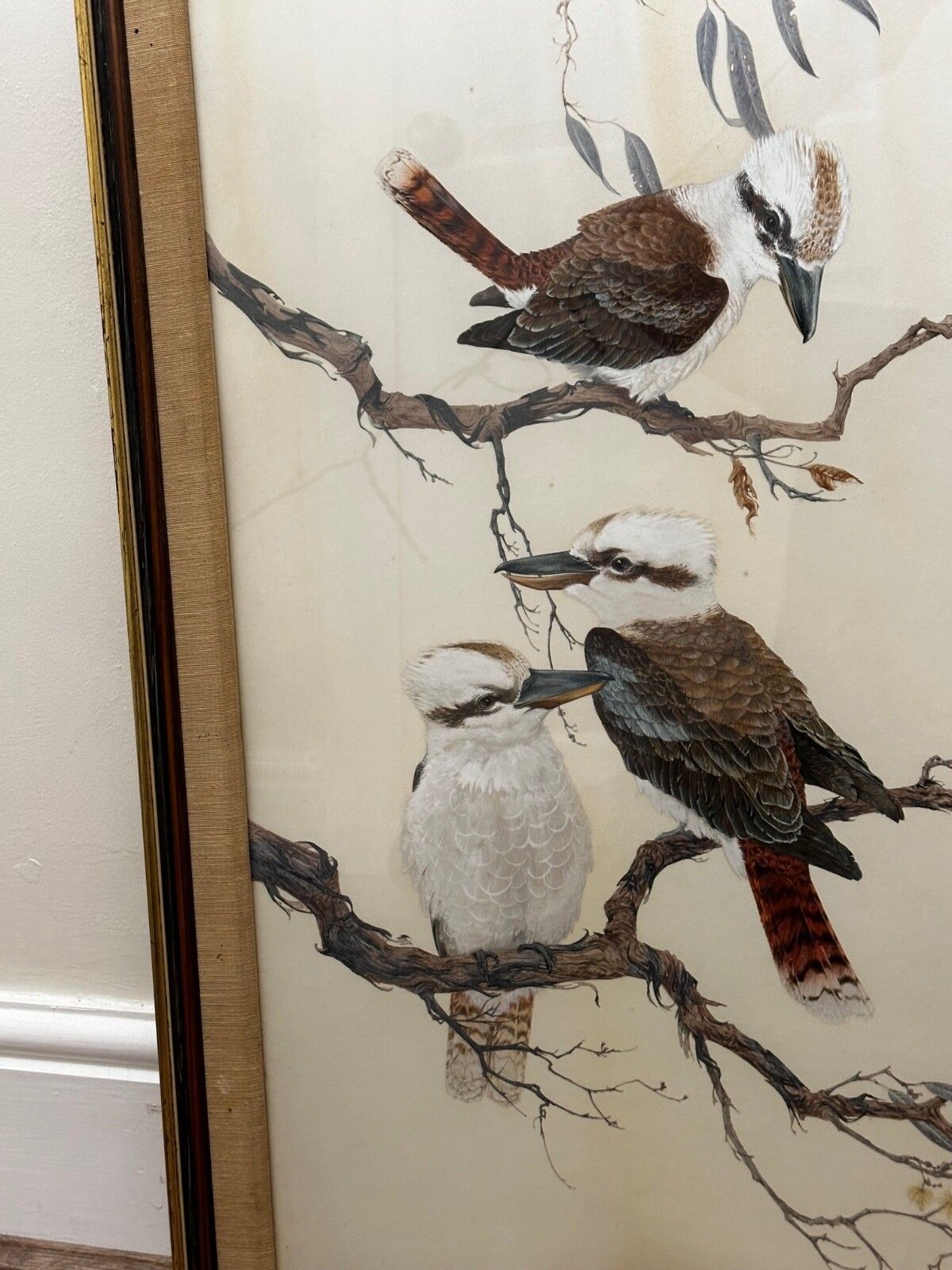 Large Mid Century Australian Painting Group Of Birds 3 Kookaburras In Bush Signed Robin Hill photo 8000.0