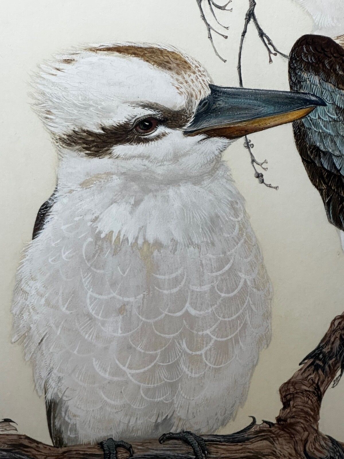 8000.0 Groot mid-century Australisch schilderij, groep vogels, 3 kookaburras in de bush, gesigneerd Robin Hill photo