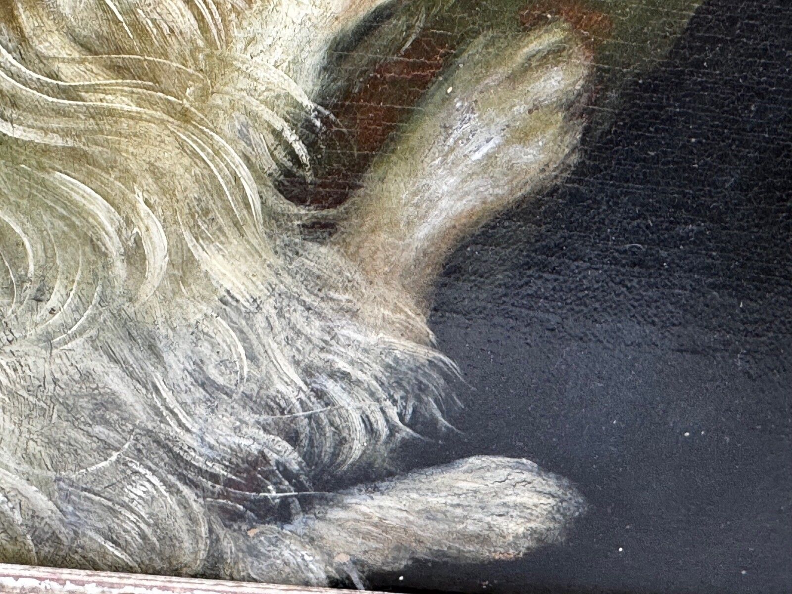 Victoriaans olieverfportret van Eliza Maddock uit Onchan, Isle of Man, met havanees, gesigneerd J.R. Siddall photo Kunst