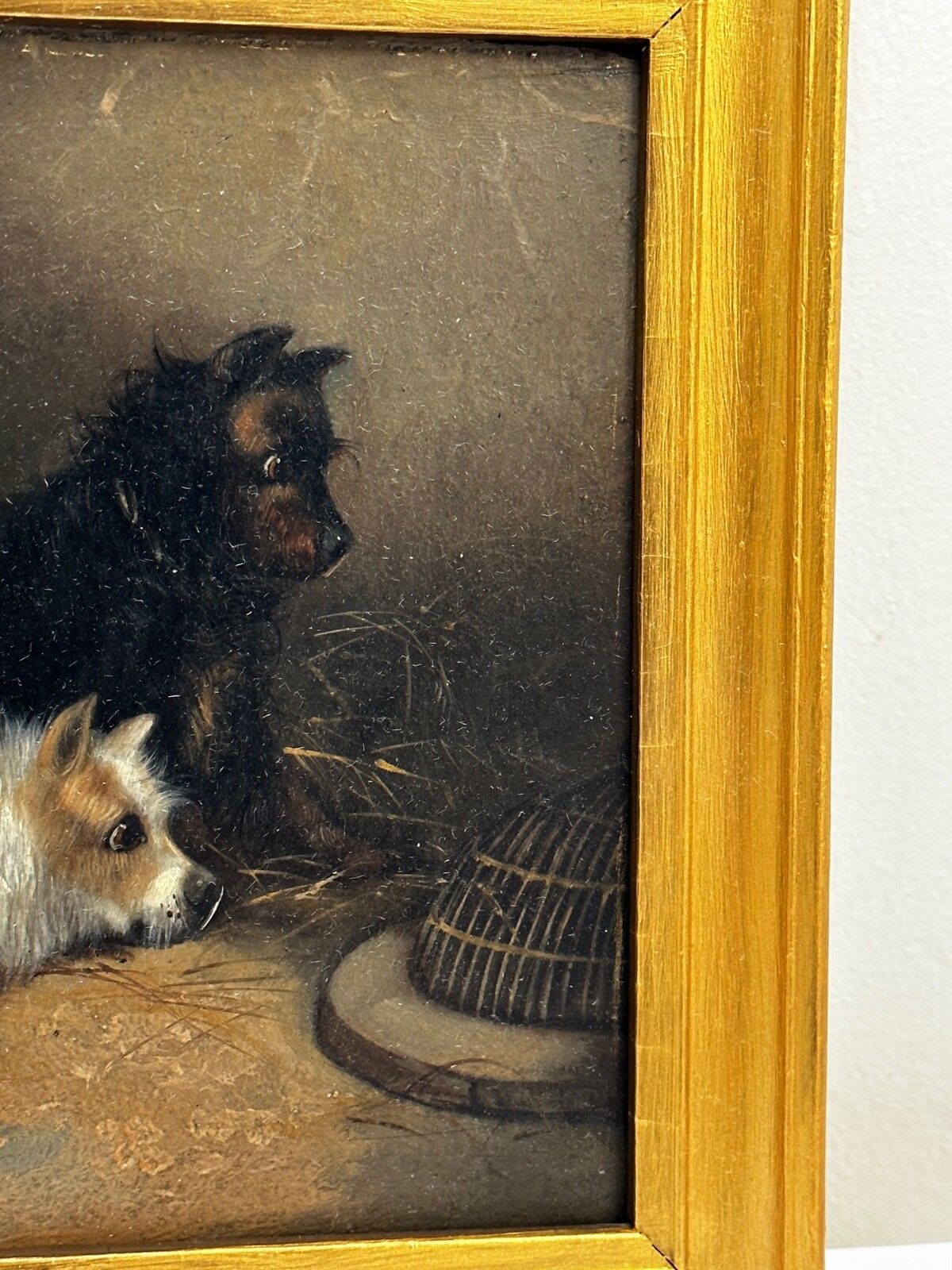 19e-eeuws olieverfchilderij jacht 2 terrierHonden op het spoor rattenJacht gesigneerd George Armfield gedateerd 1867 photo 3250.0