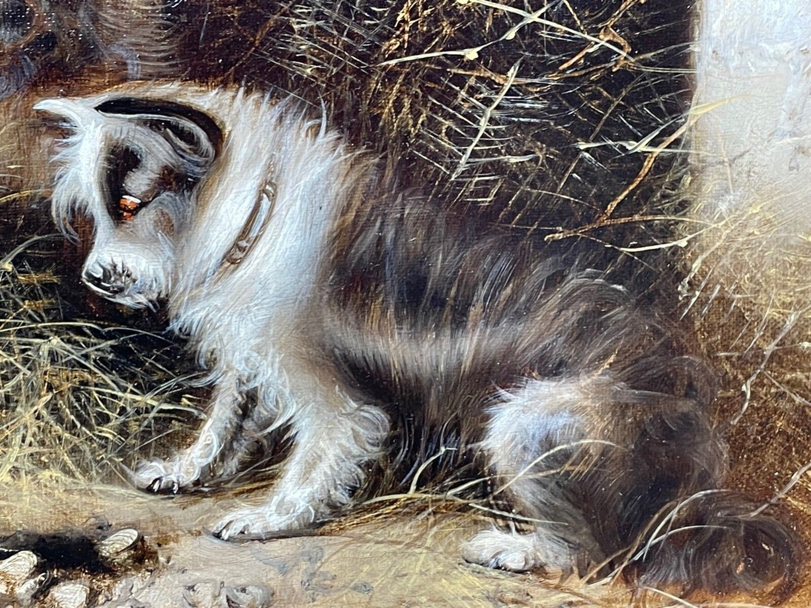 19e-eeuws olieverfchilderij met jachttafereel en terrriërs "A Sharp Lookout" van Edward Armfield photo Kunst