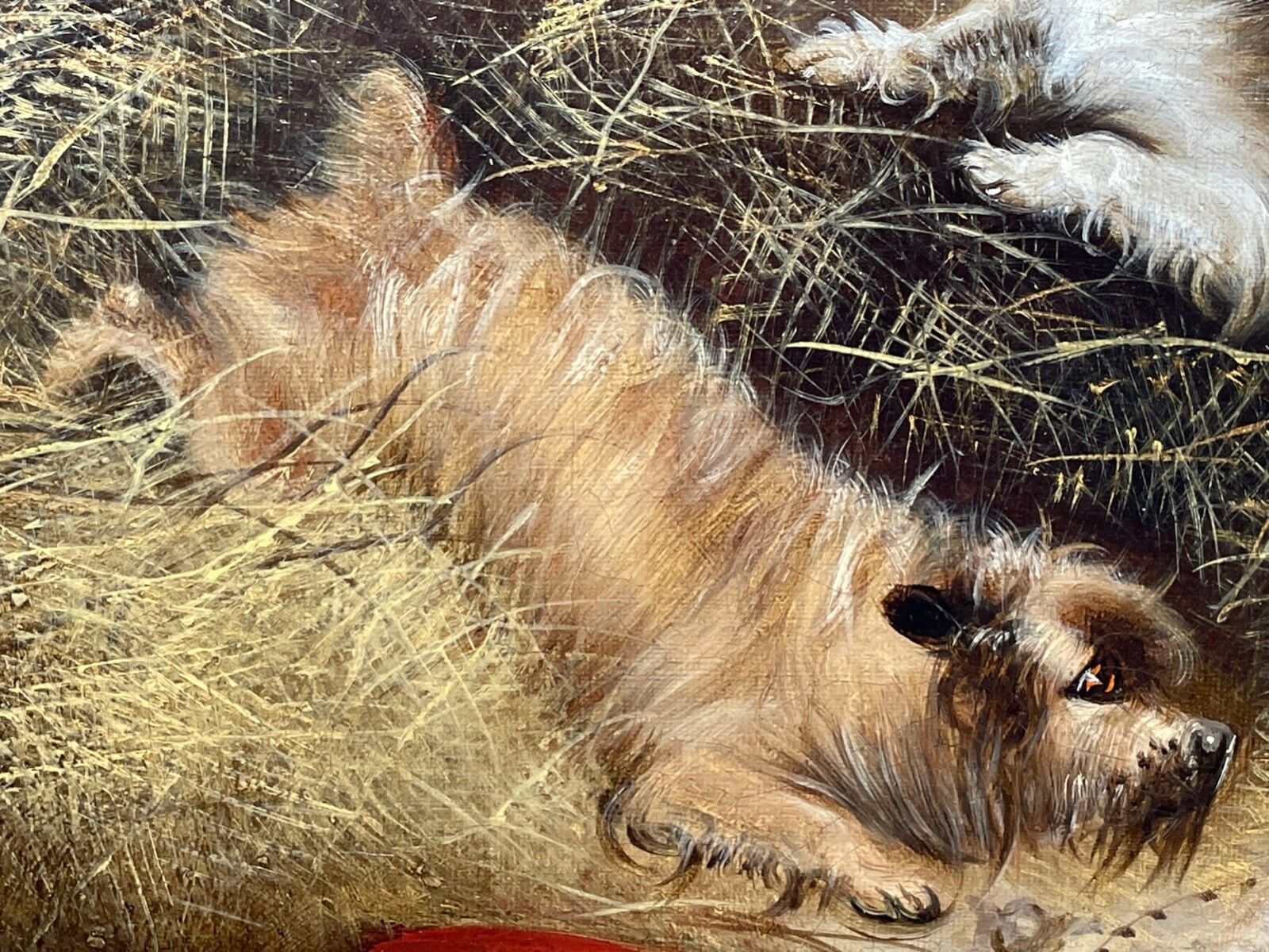 19th Century Oil Painting Hunting Terrier Dogs "A Sharp Lookout" By Edward Armfield photo 3200.0