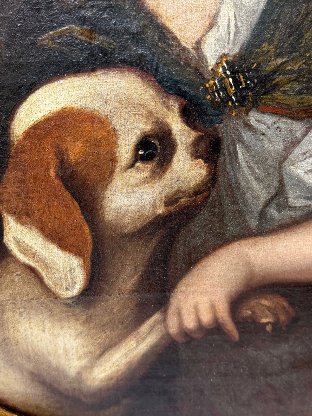 17e-eeuws olieverfchilderij, Een Ontroerende Band, Jongen met King Charles Spaniel-pup, Cirkel van Mary Beale, ca. 1680 photo vinterior
