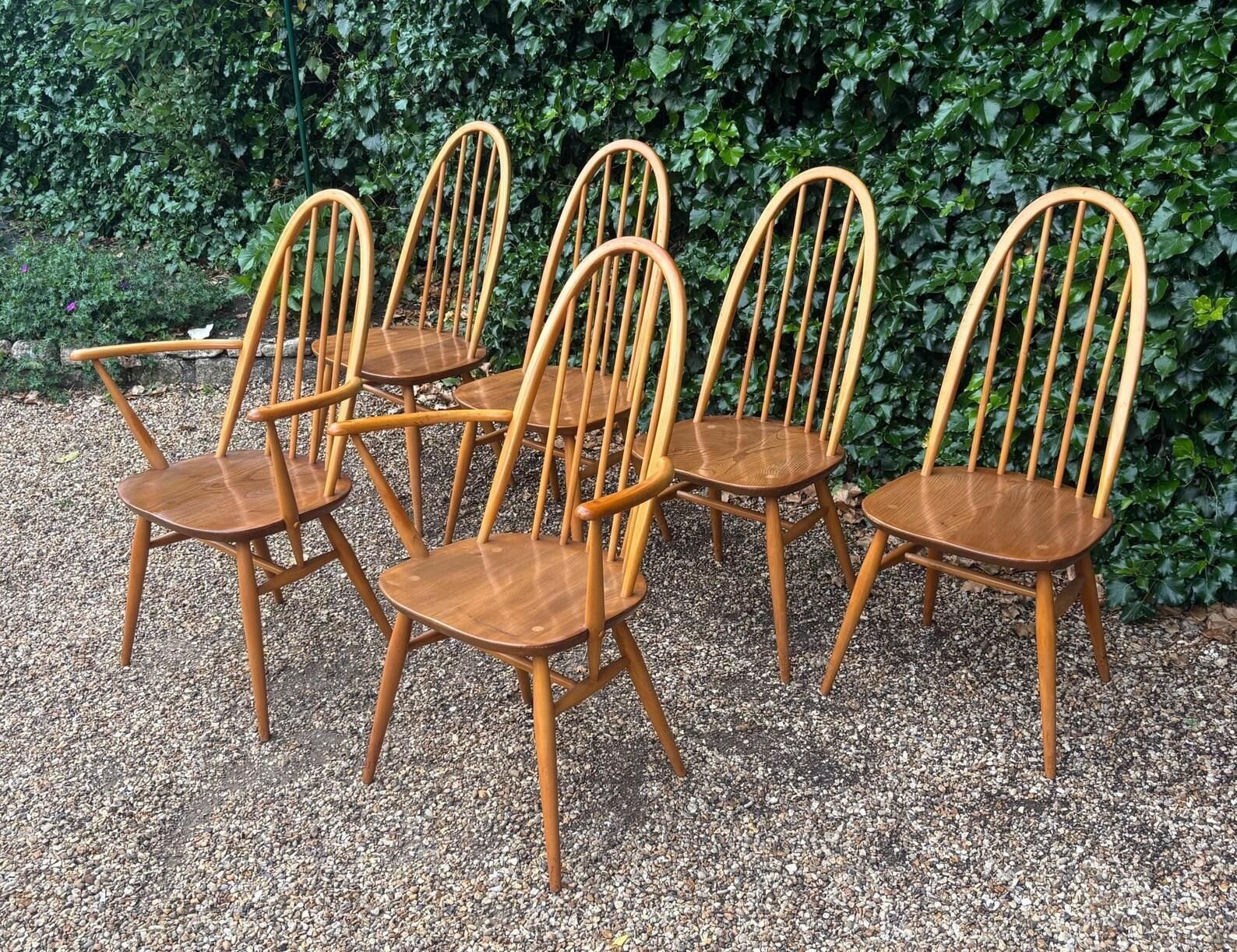 Set Of Six Ercol Windsor 365 Quaker Dining Chairs C.1960s photo Furniture