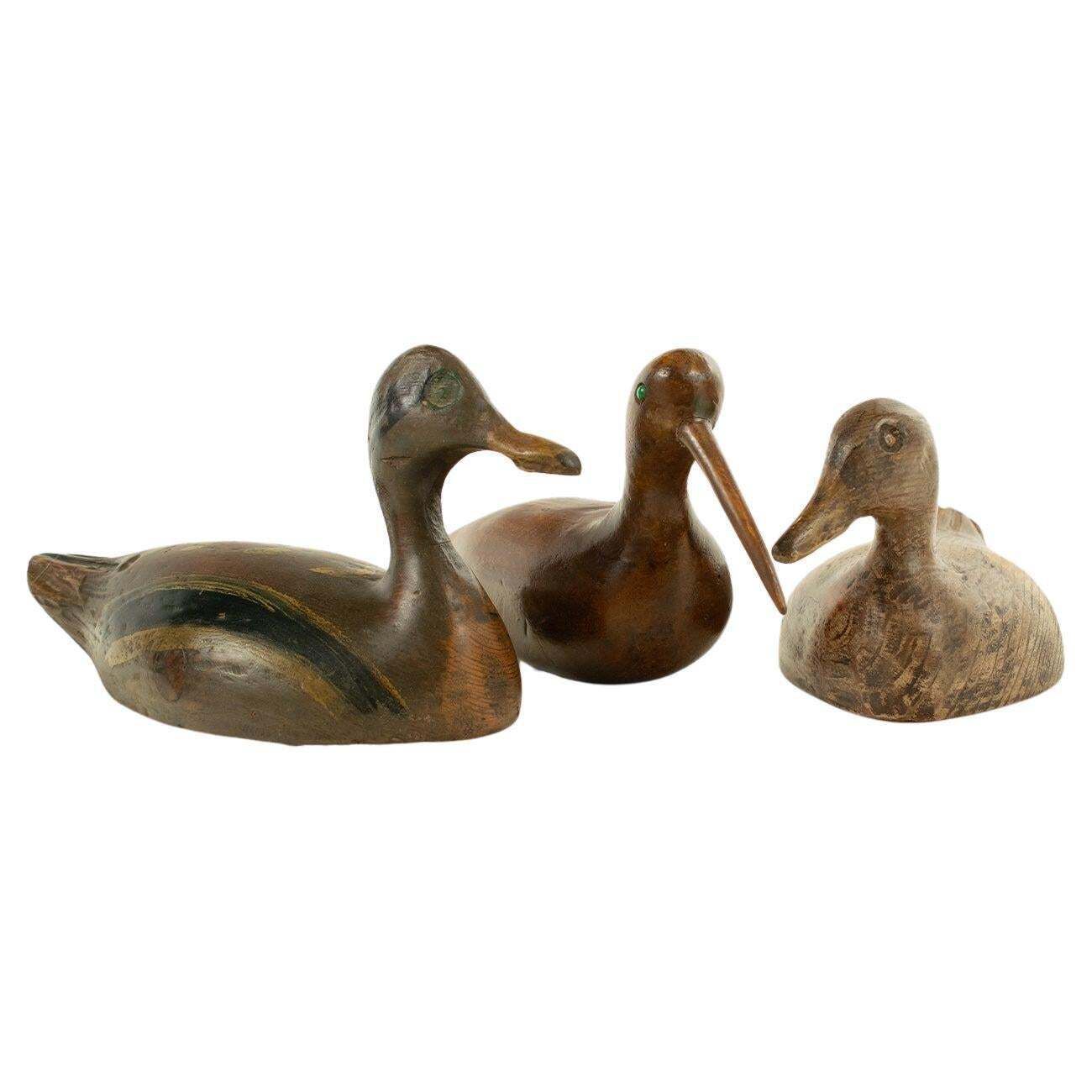 Trio de deux canards et un courlis, appelants d'époque en bois sculpté et peint