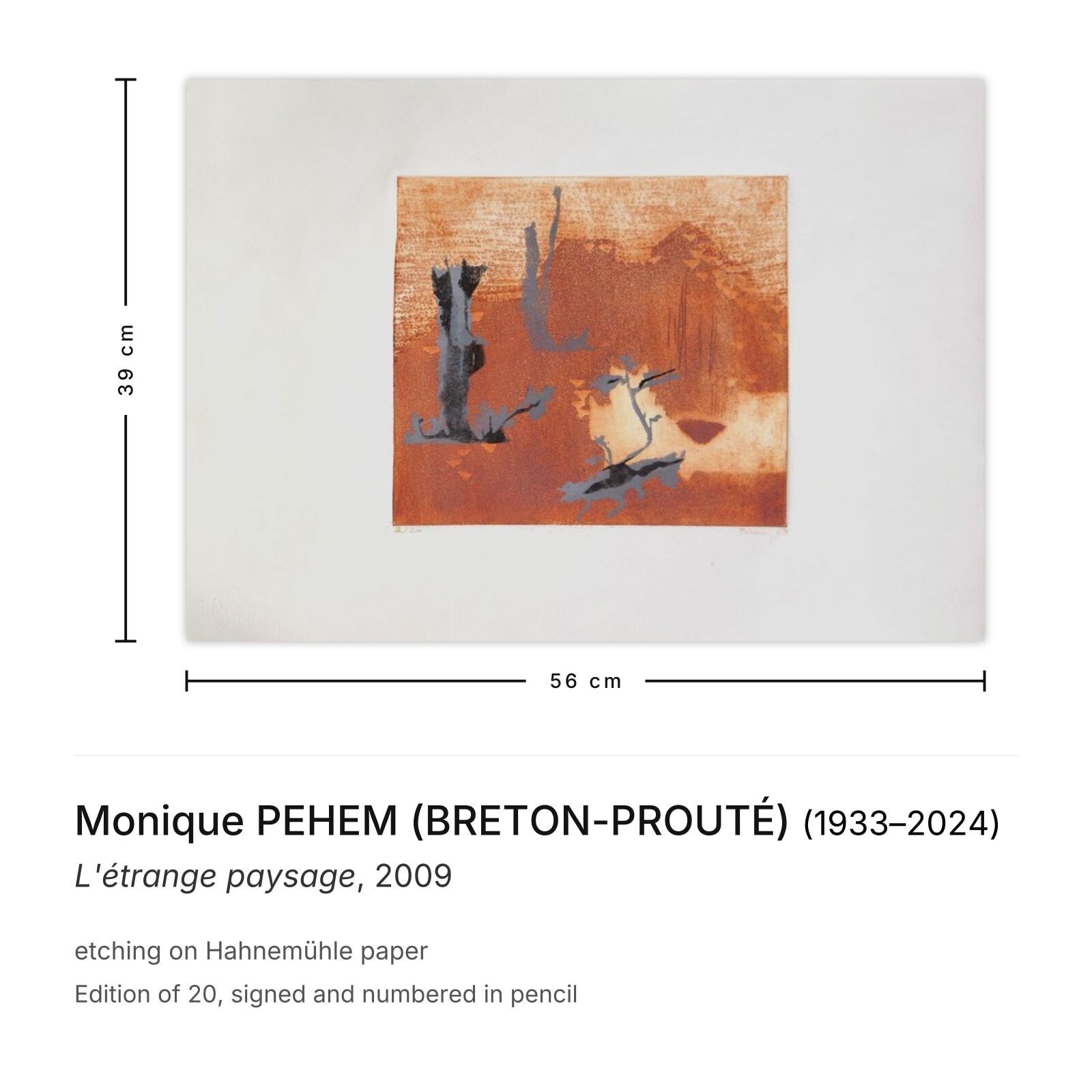 Monique Pehem (Breton Prouté) Gesigneerde ets L'étrange Paysage 2009 photo furniture