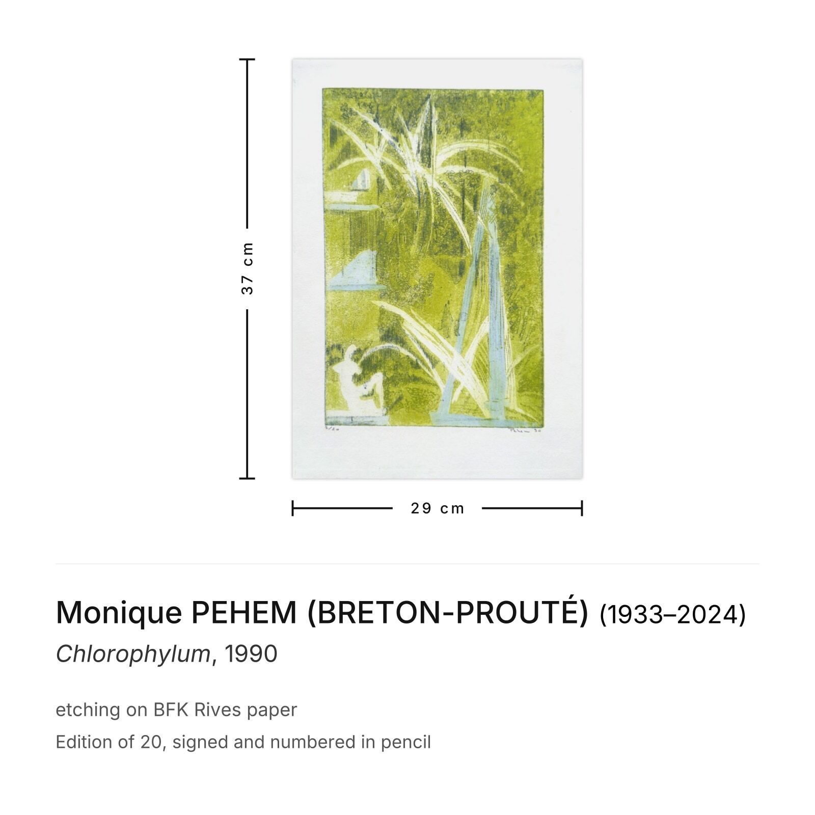 Monique Pehem (Breton Prouté) Gesigneerde Ets Chlorophylum 1990 photo furniture