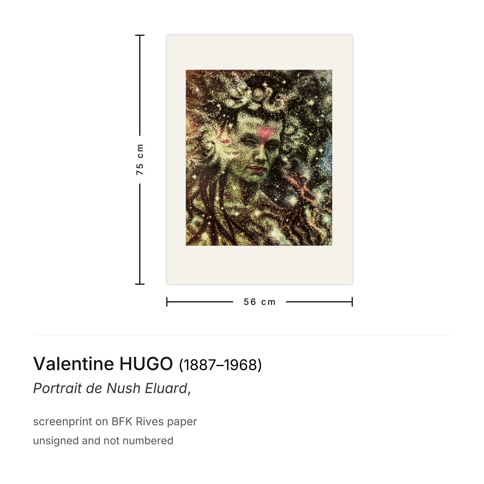 Valentine Hugo Screenprint Portrait De Nush Eluard photo furniture