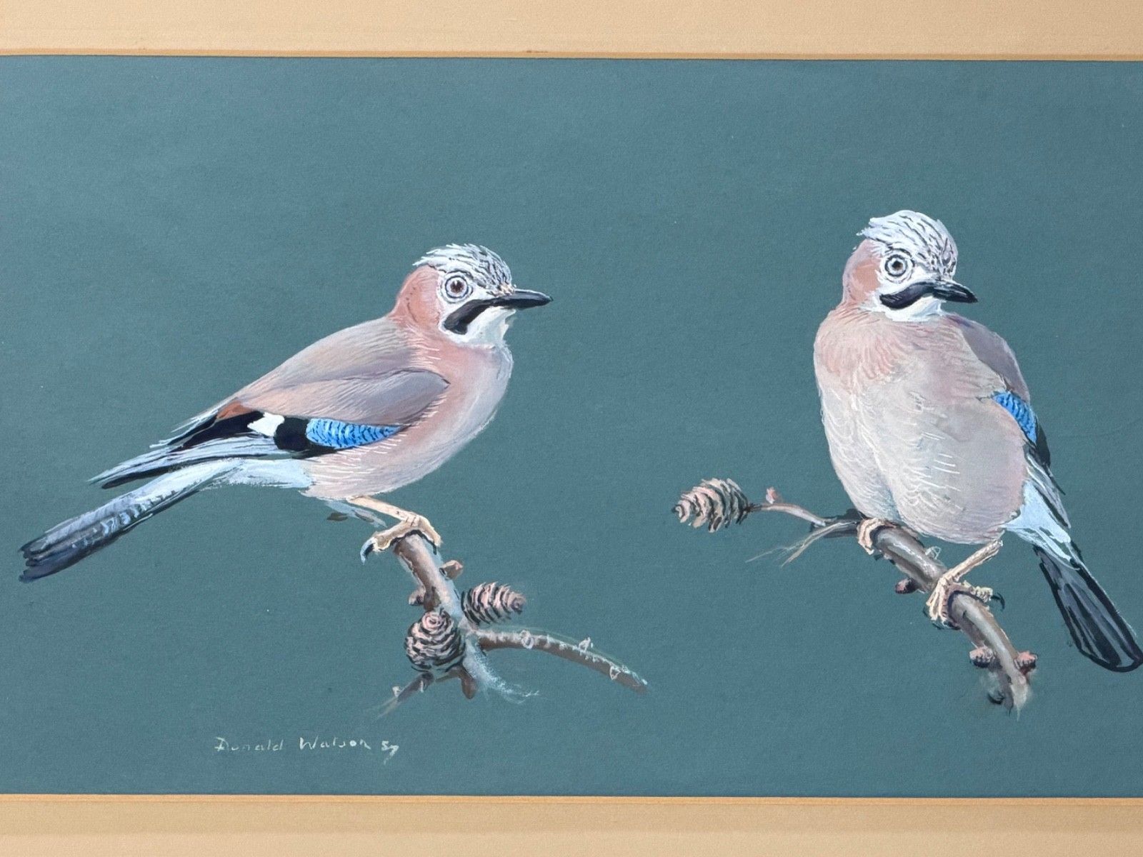Original Mid Century Painting Bird Study Jays Signed Donald Watson (1918–2005) photo furniture
