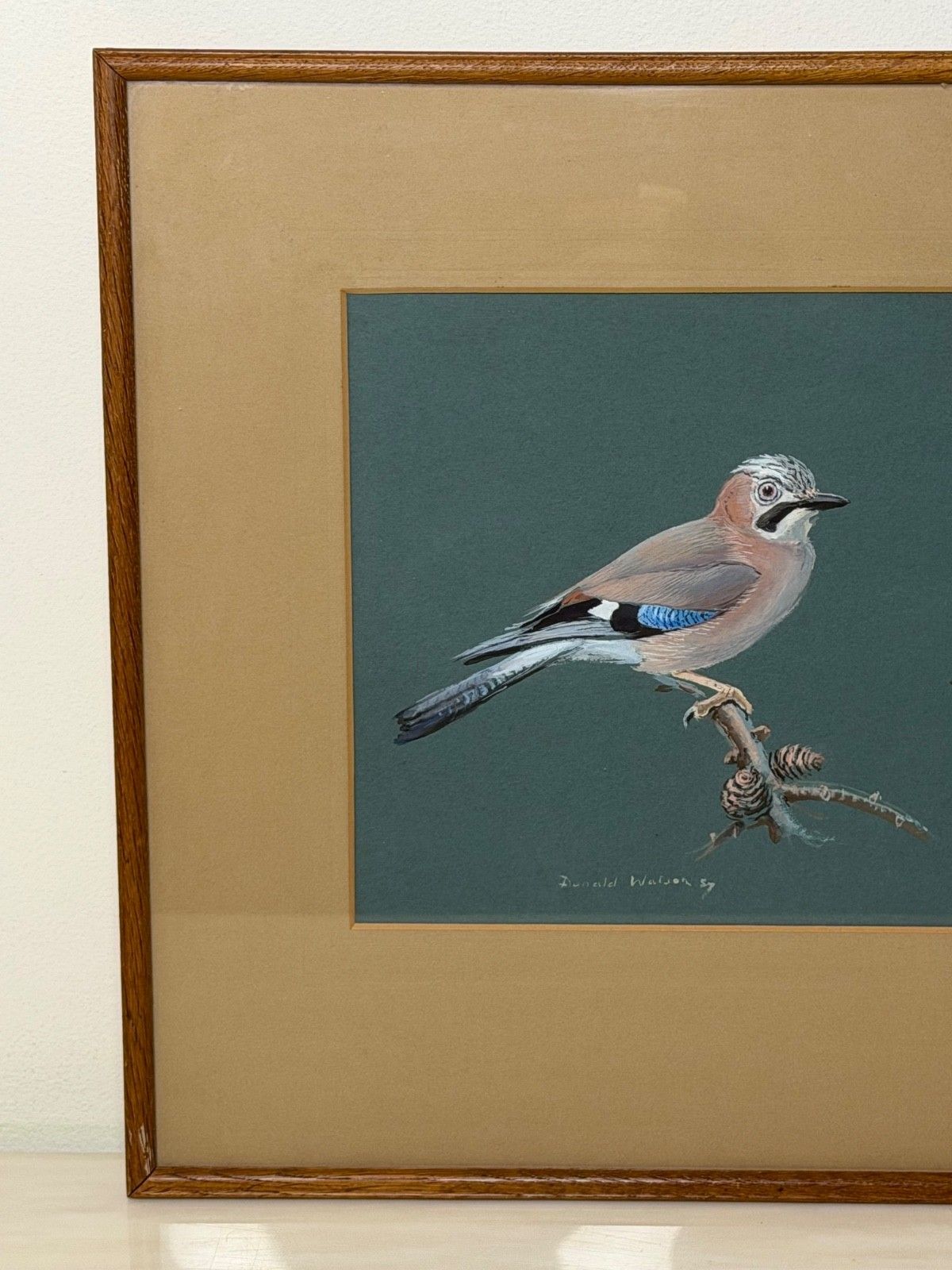 Original Mid Century Painting Bird Study Jays Signed Donald Watson (1918–2005) photo vinterior