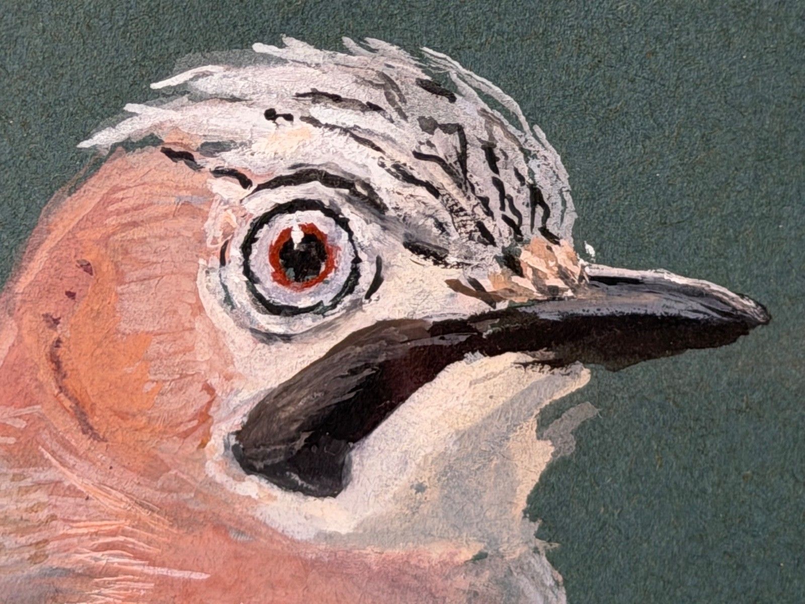 Original Mid Century Painting Bird Study Jays Signed Donald Watson (1918–2005) photo vintage