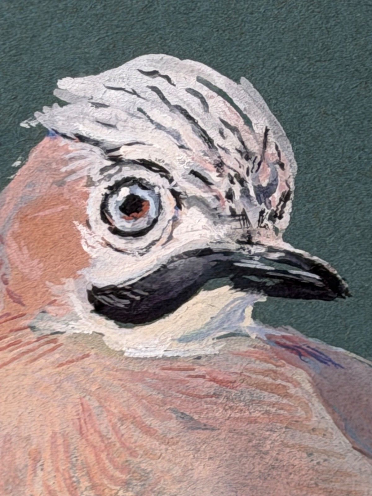 Kunst Mid-Century Schilderij Vogelstudie Vlaamse Gaaien Gesigneerd Donald Watson (1918-2005) photo