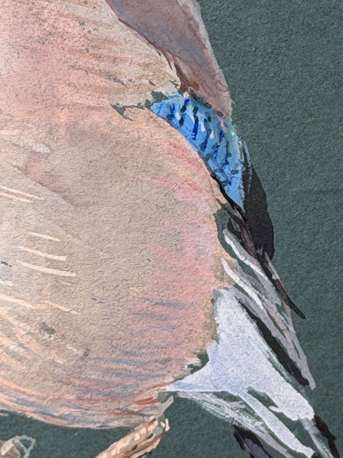 2950.0 Mid-Century Schilderij Vogelstudie Vlaamse Gaaien Gesigneerd Donald Watson (1918-2005) photo