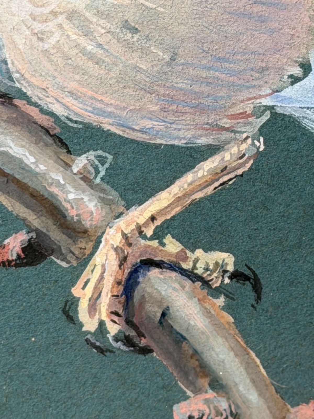 photo buy Original Mid Century Painting Bird Study Jays Signed Donald Watson (1918–2005)