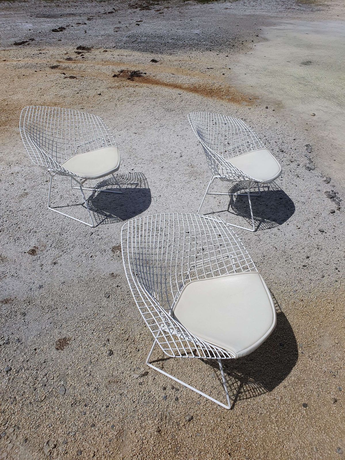 Genuine Harry Bertoia Diamond 421 Chairs. 1970s. 3 Available In White. photo vinterior