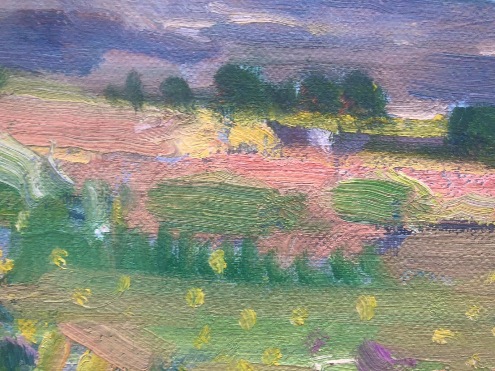 Rafael Duran Benet Colorful Mediterranean Landscape With Wildflowers And Olive Trees, Spanish Oil C.1990 photo 500.0