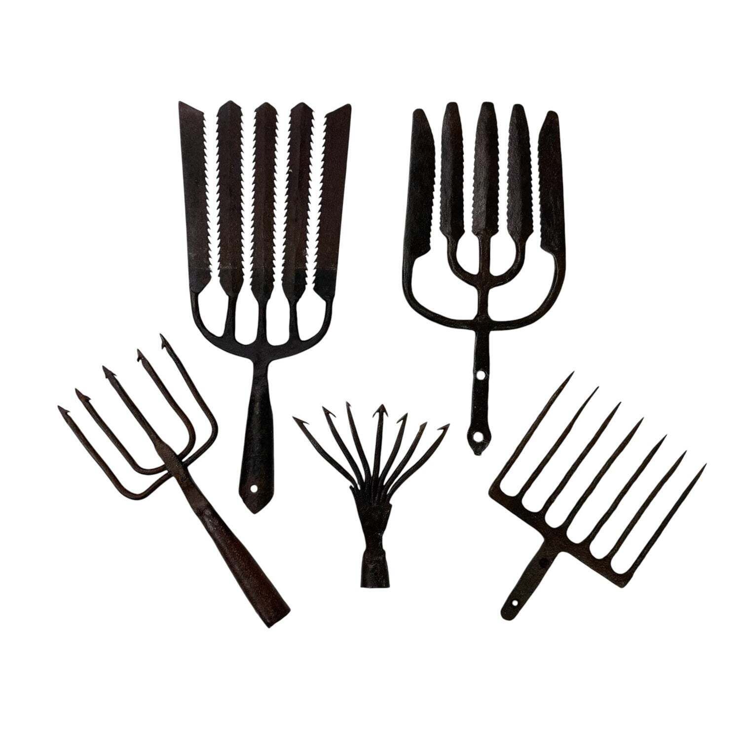 Set van 5 antieke paling-visserssperen van smeedijzer