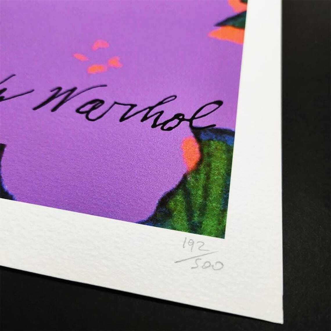 Lithographie en édition limitée « Flowers » d'Andy Warhol, années 1980, par Cmoa °°°°Expédition Ddp vers le Royaume-Uni, droits de douane acquittés. photo Art