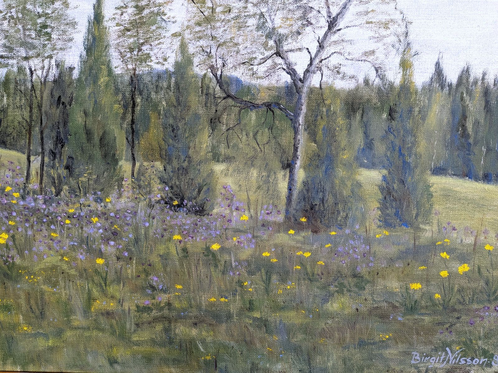 Wildflower Meadow . Oil Painting photo 457.0