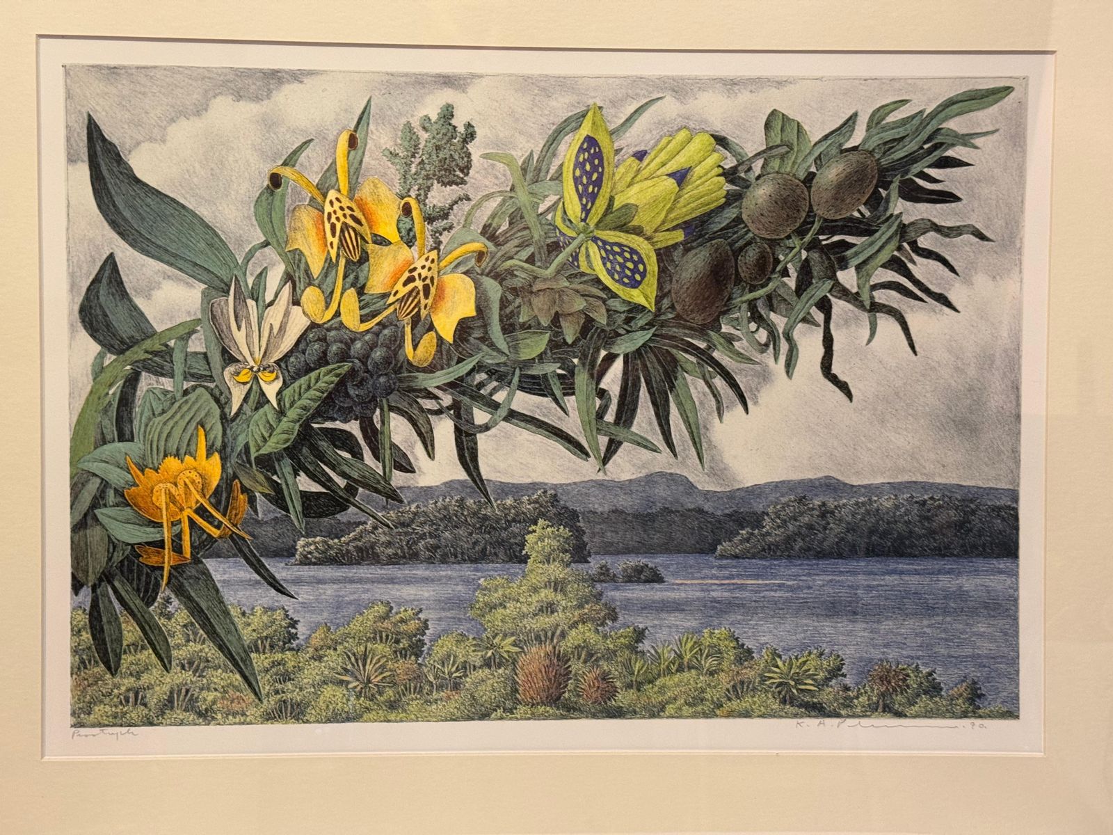 732.0 Karl Axel Pehrson Composition Exotic Branching Plants, Ruólo”Lithograph photo