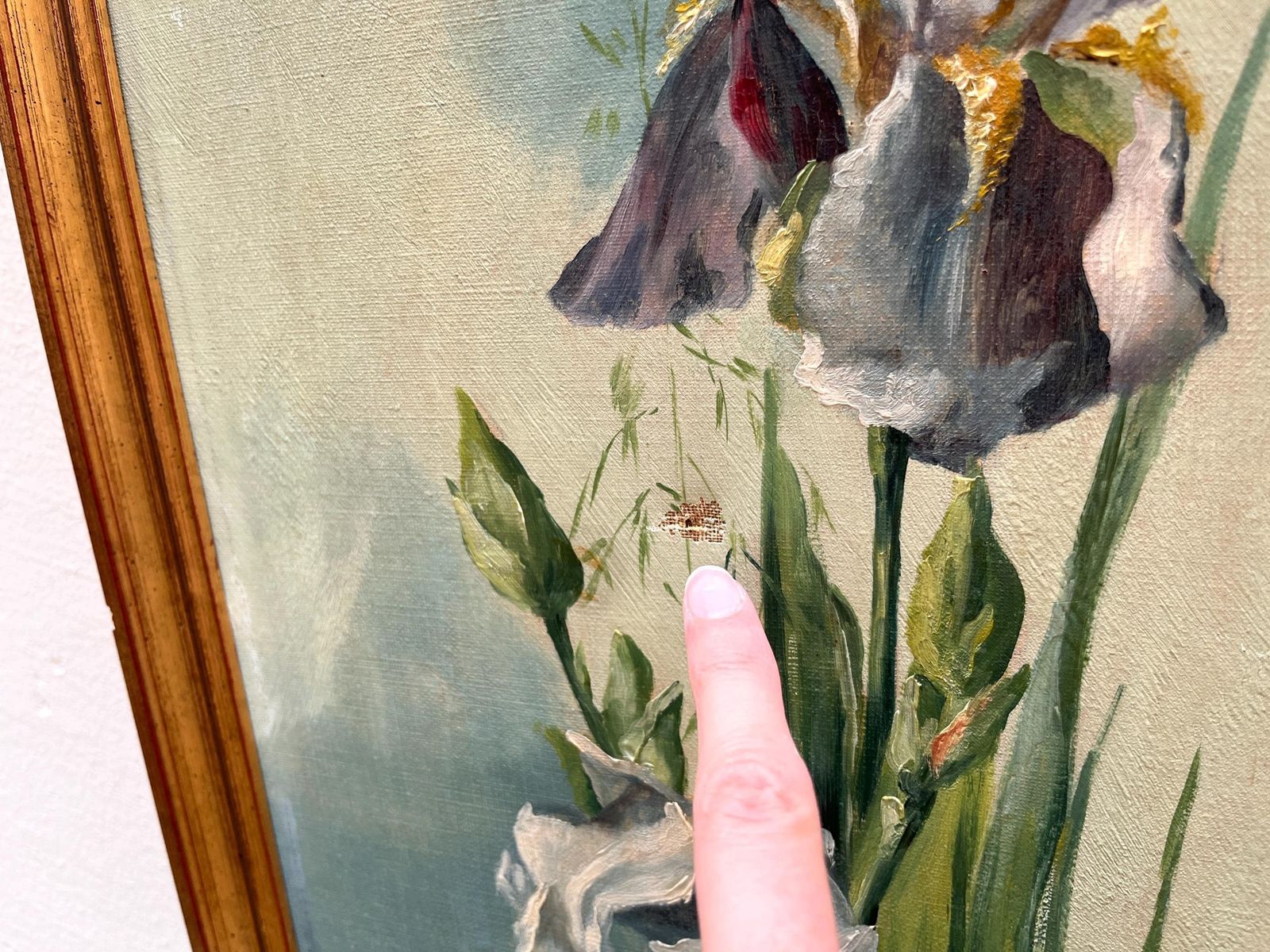 Art Original 1902's Pair Of Irises Paintings, Antique Still Lives With Gilded Frames, Flowers Pictures photo