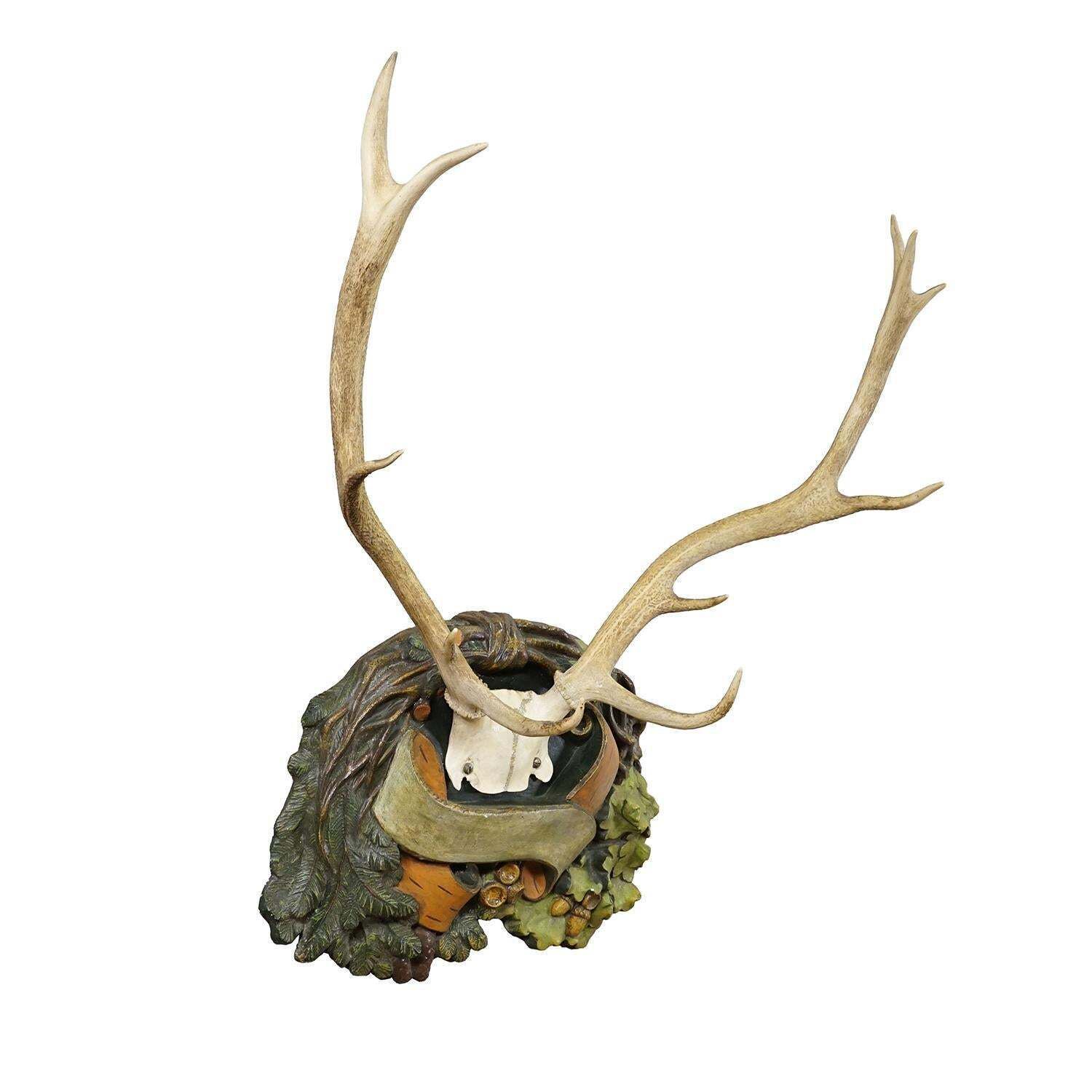 Black Forest 12-ender hertentrofee op gipsen plaquette, Duitsland, jaren 1920 photo furniture