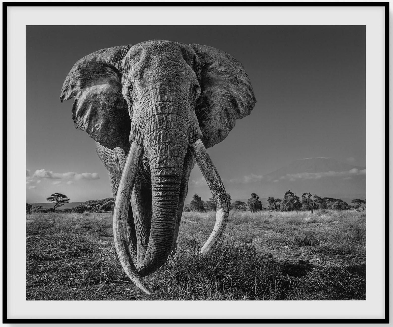 David Yarrow, Space For Giants, hedendaagse zwart-witfotografie, ingelijst, 2020