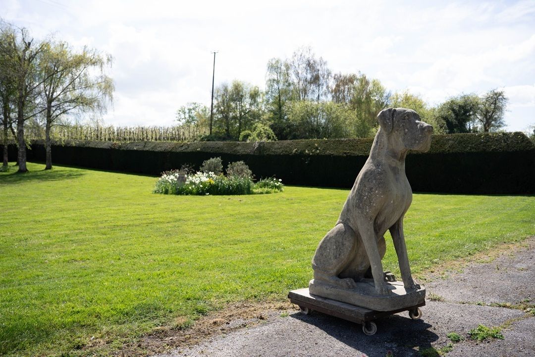 Impressive Cast Stone Garden Great Dane Statue photo vinterior