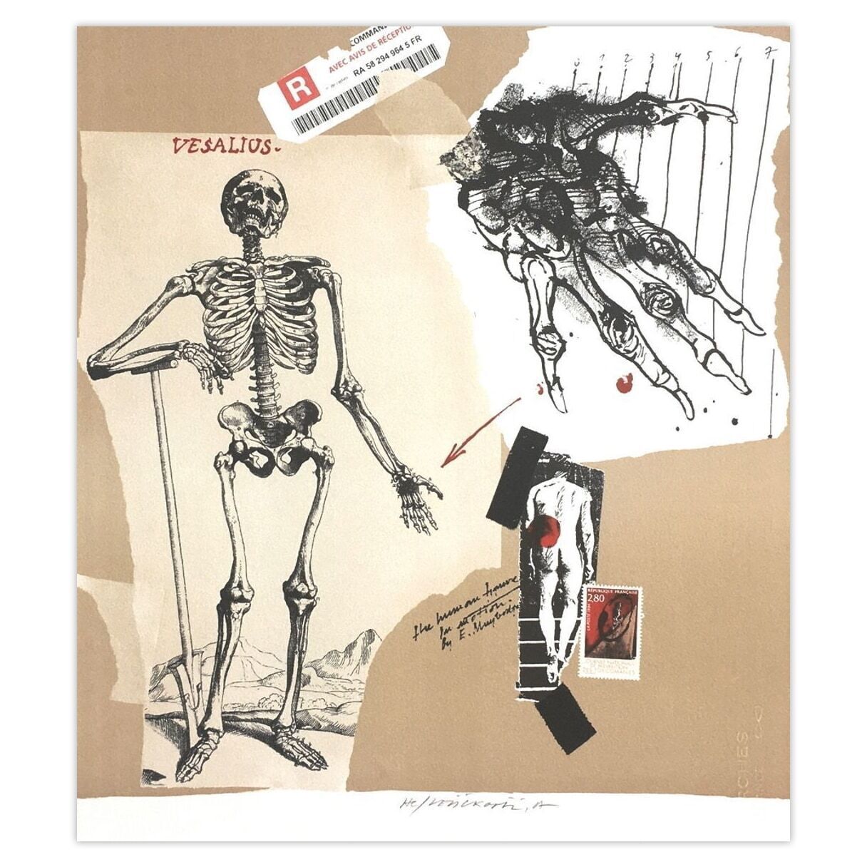 Vladimir Velickovic Gesigneerde Lithografie Vesalius 2007
