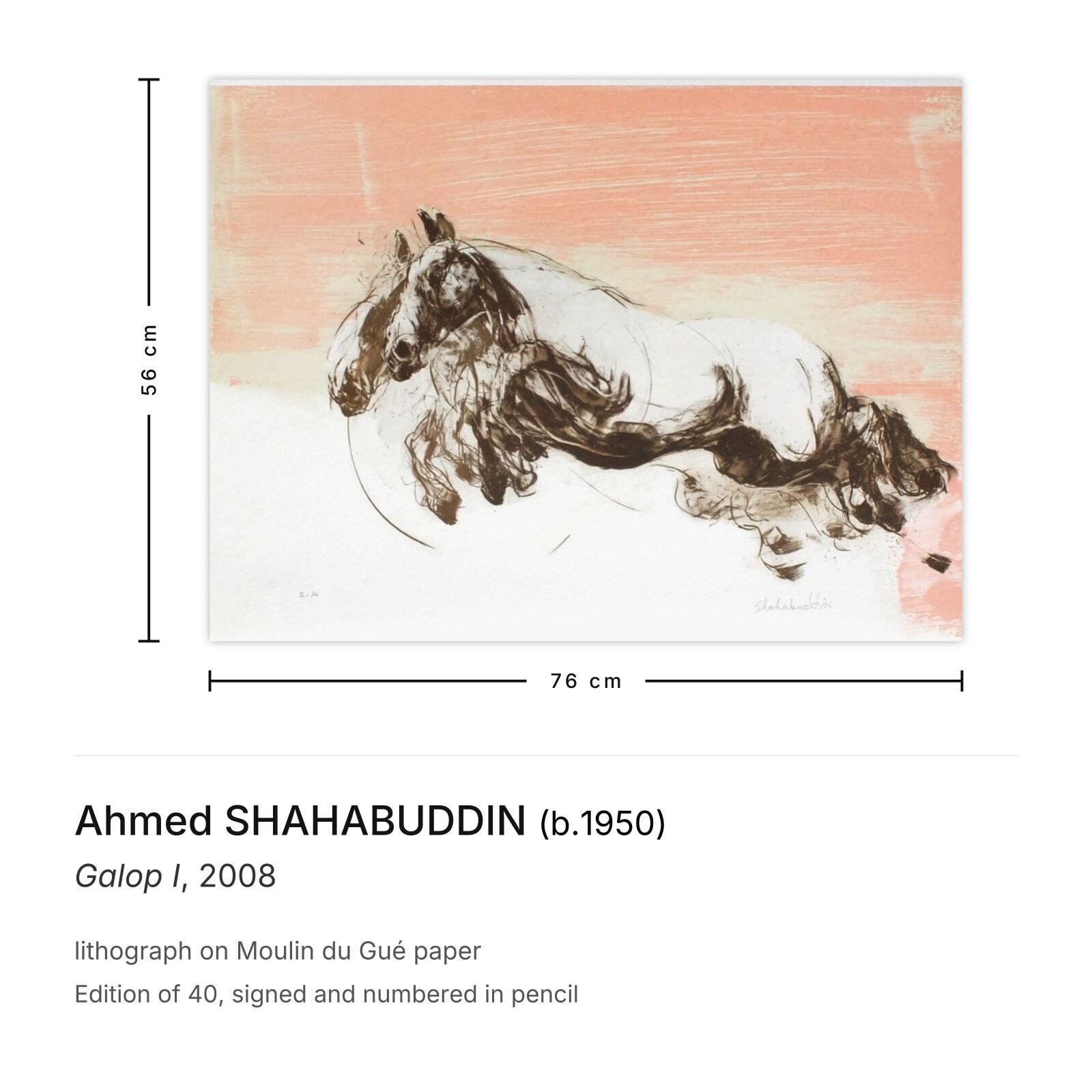 Ahmed Shahabuddin Signed Lithograph Galop I 2008 photo furniture
