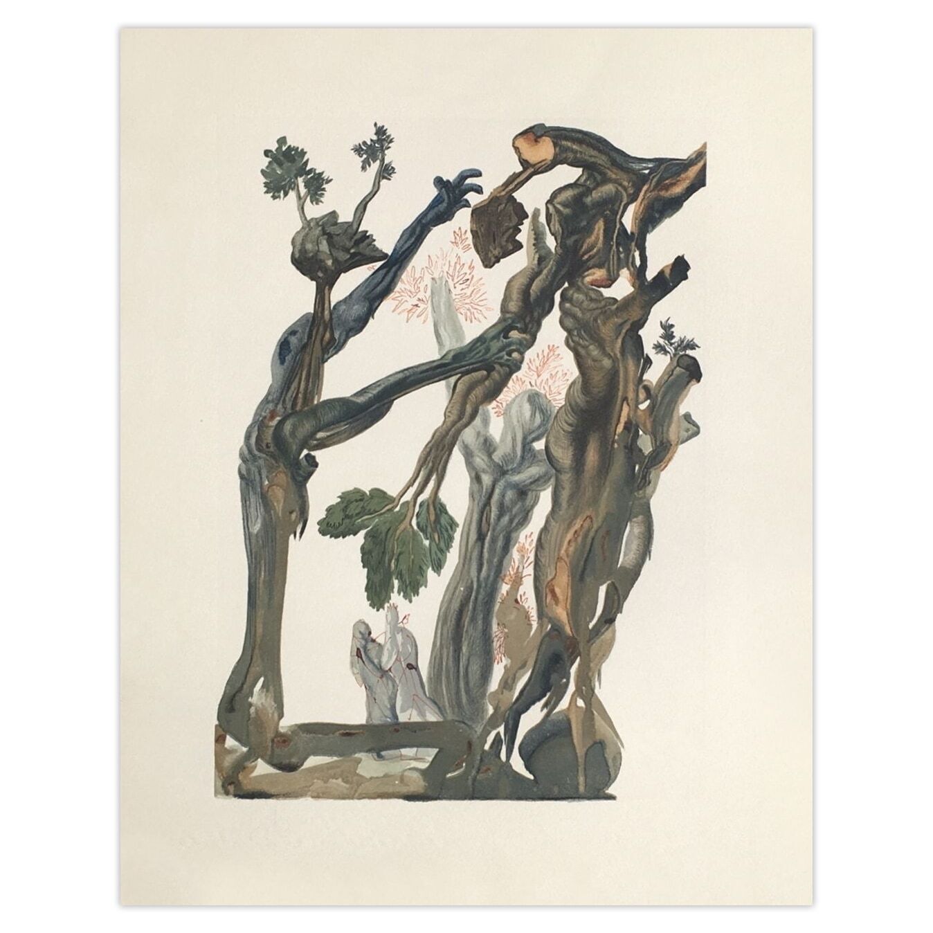Salvador Dali Houtsnede Divine Comédie Enfer 13 La Forêt Des Suicidés 1960