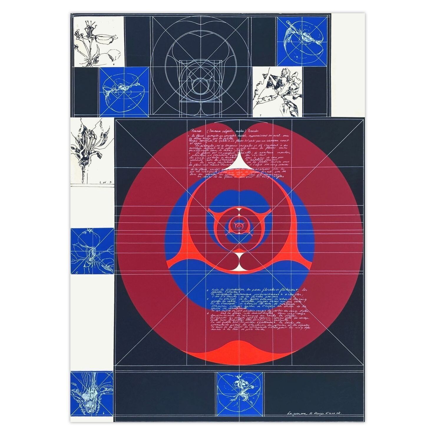Ronald Abram Screenprint La Pomme, Le Temps D'une Vie 1971