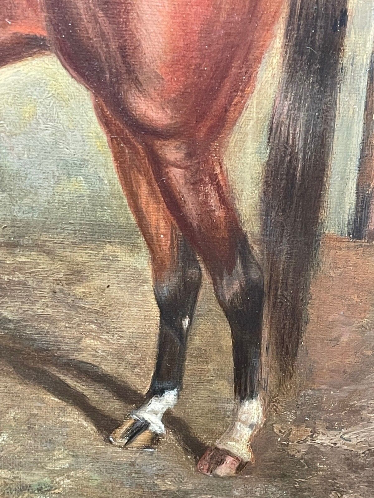 Olieverfschilderij Renbaard Spion Kop Winnaar Derby Stakes Gesigneerd Door Frederick Albert Clarke Begin 20e Eeuw Ca. 1920 photo buy