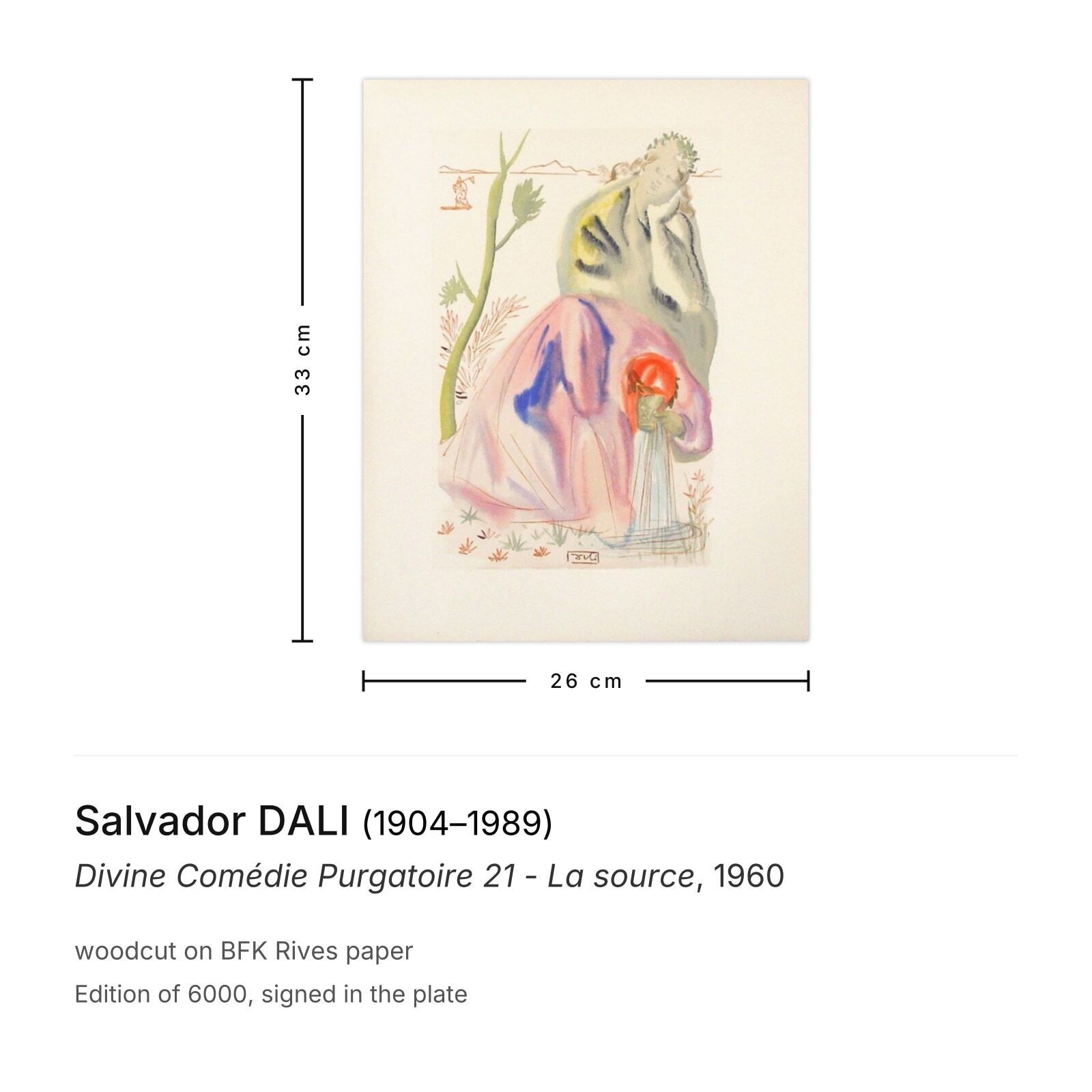Salvador Dali Houtsnede Divine Comédie Purgatoire 21   La Source 1960 photo furniture