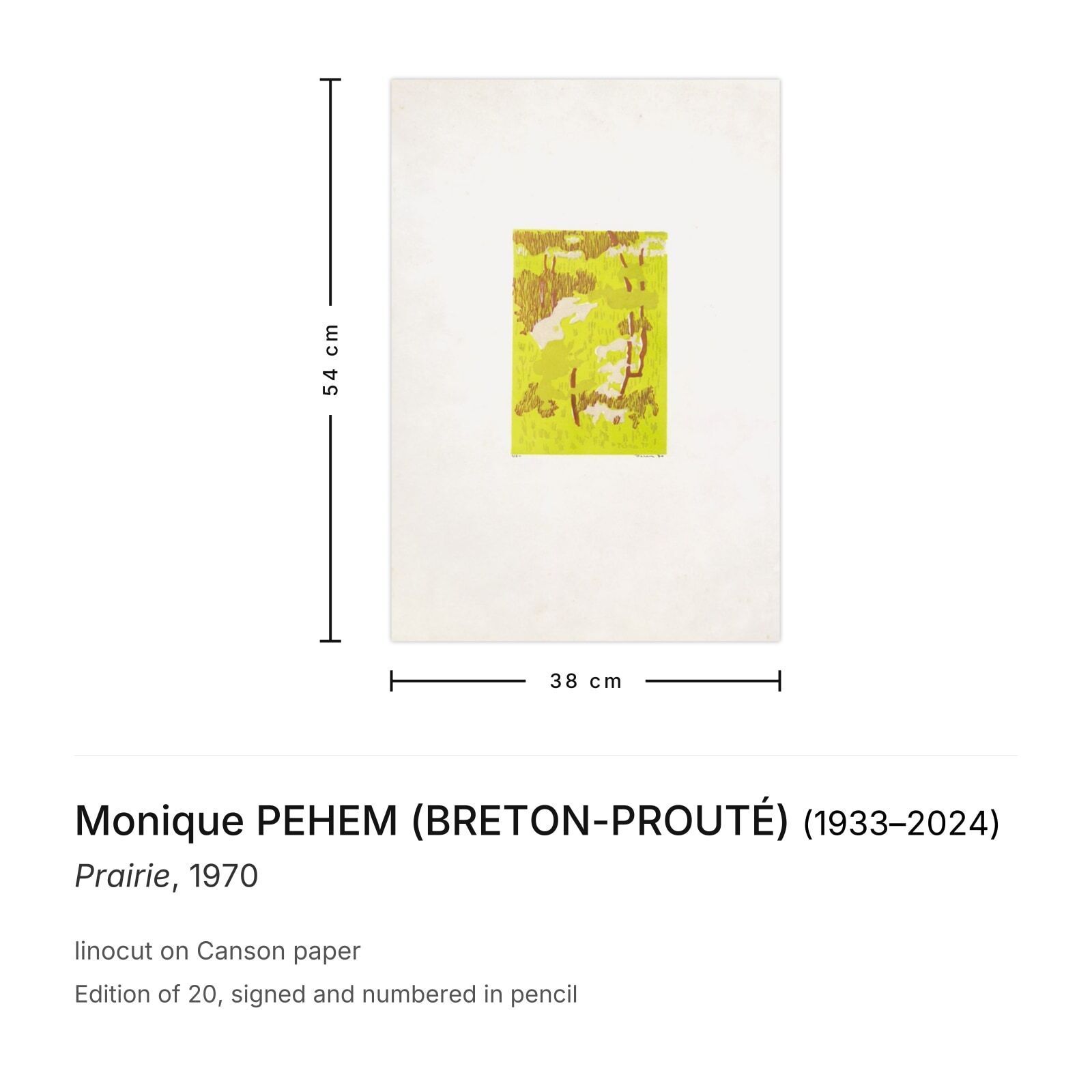 Monique Pehem (Breton Prouté) Gesigneerde Linosnede Prairie 1970 photo furniture