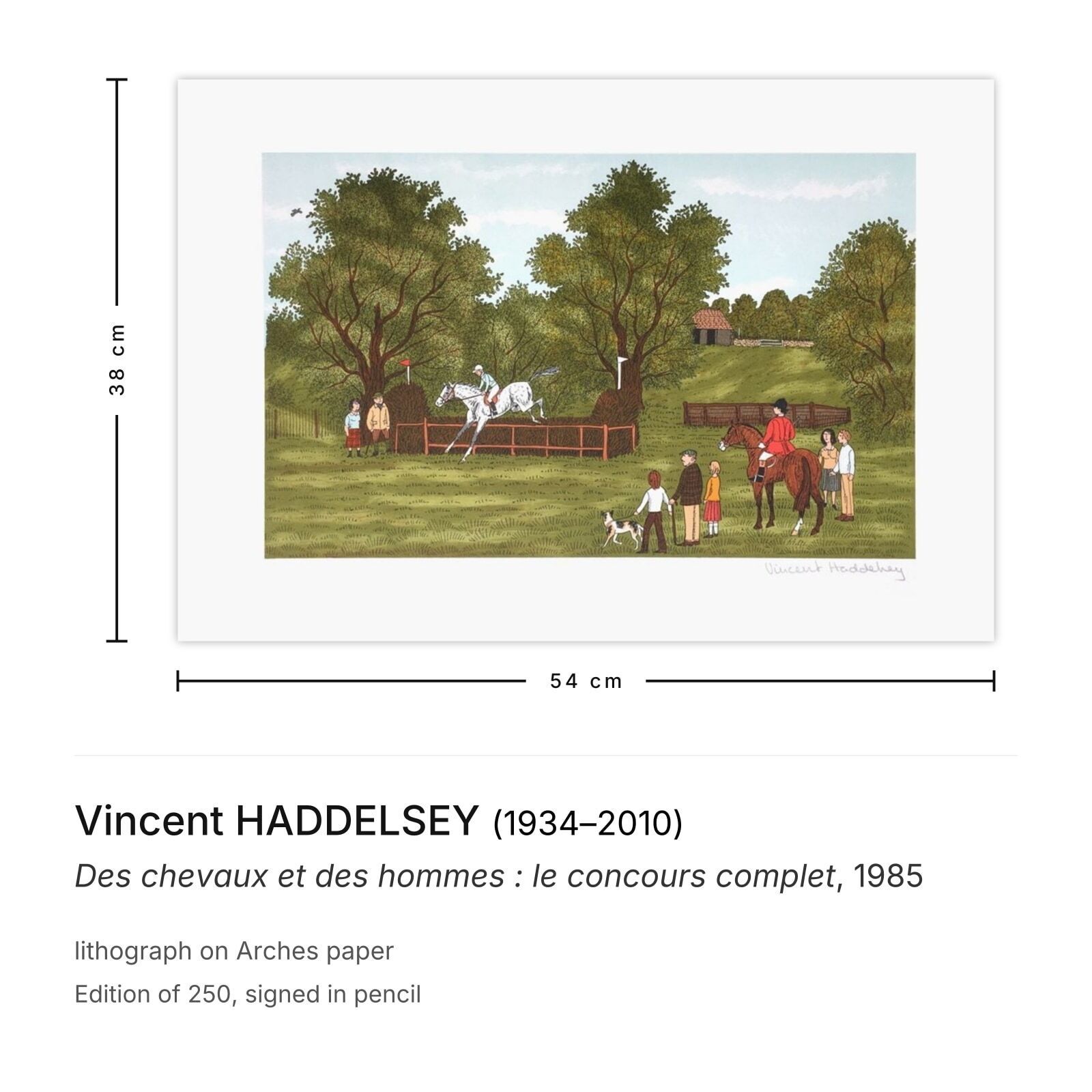 Vincent Haddelsey Signed Lithograph Des Chevaux Et Des Hommes : Le Concours Complet 1985 photo furniture
