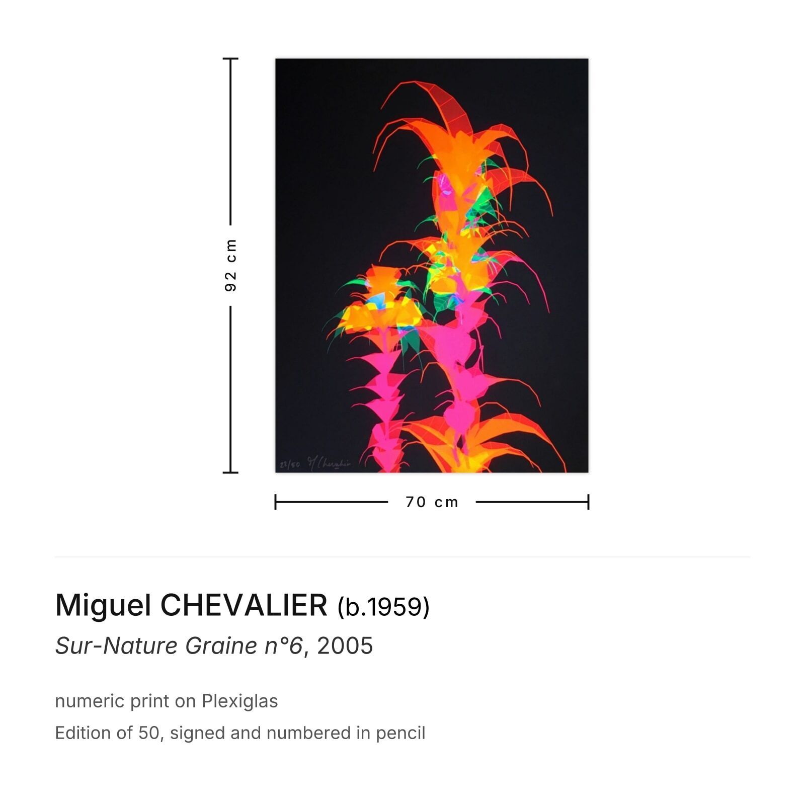 Miguel Chevalier Signed Numeric Print Sur Nature Graine N°6 2005 photo furniture