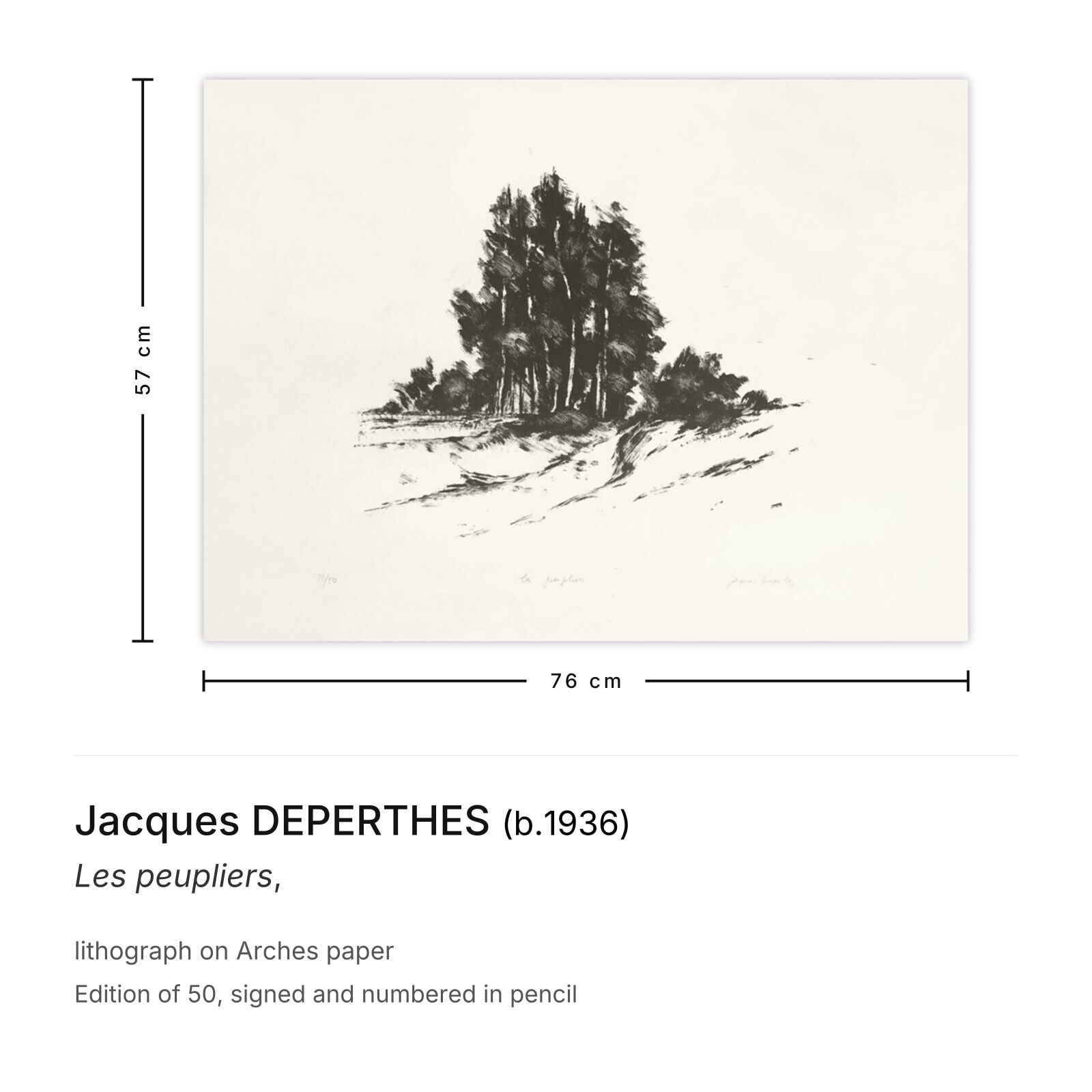 Jacques Deperthes Gesigneerde Lithografie Les Peupliers photo furniture