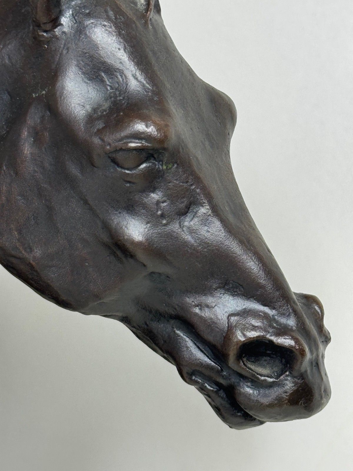 photo for sale Bronzen ruiterstandbeeld "Galloping Horse" van Enzo Plazzotta, limited edition nr. 6/9