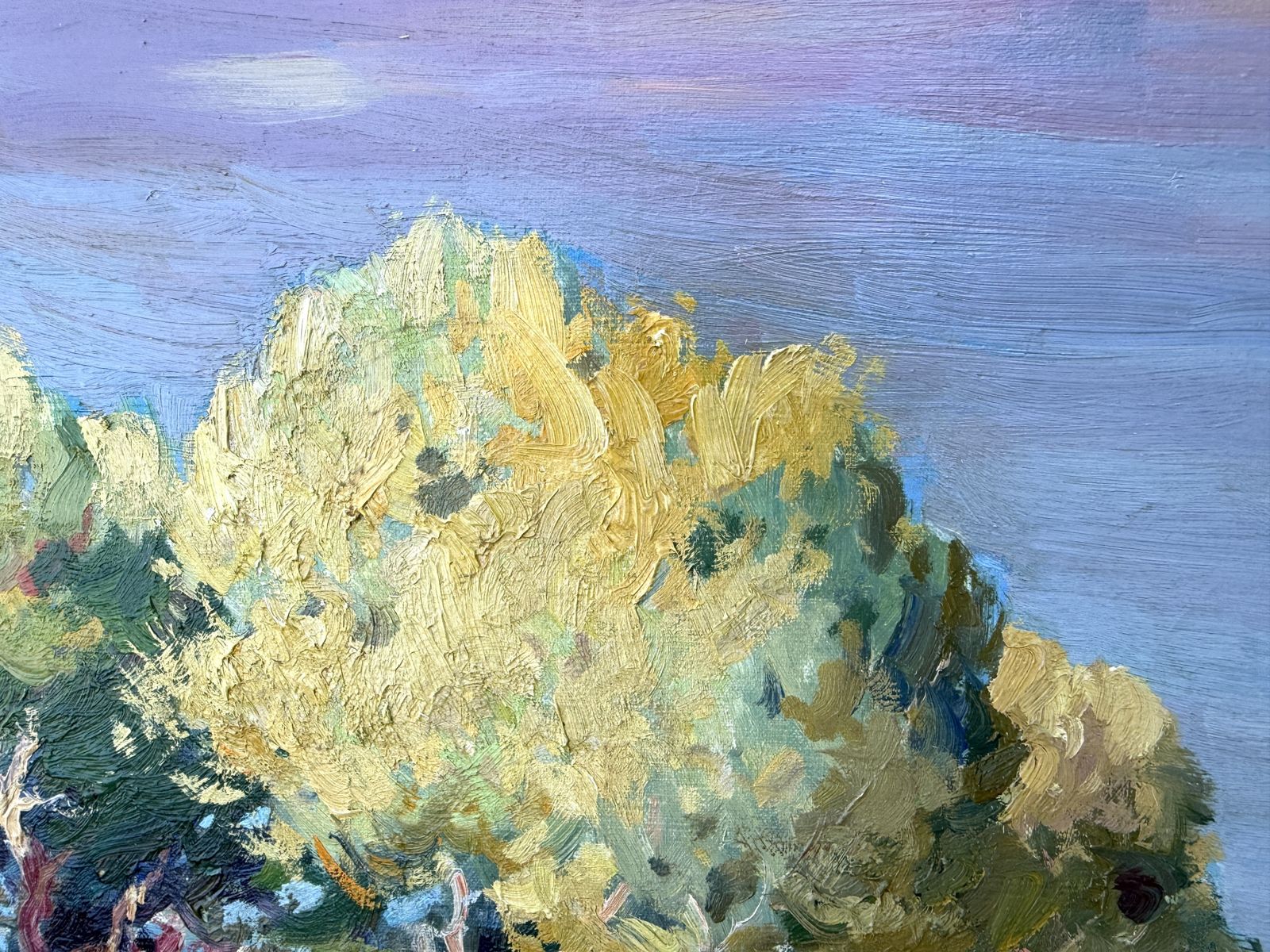 Josep María Vilá Cañellas Grand paysage côtier méditerranéen avec crique rocheuse, pins et maison blanche, 1969 photo Art