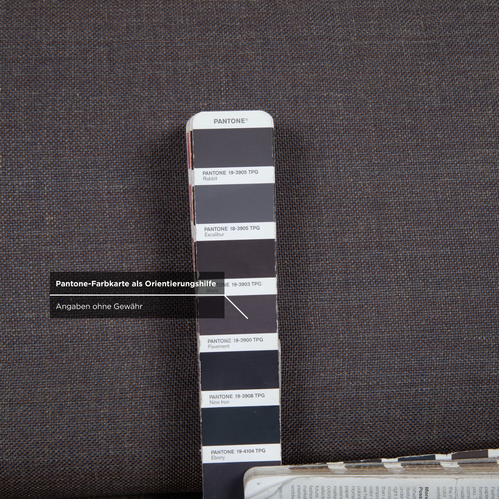 Mobilier Canapé 3 places Rolf Benz Grata en tissu gris photo