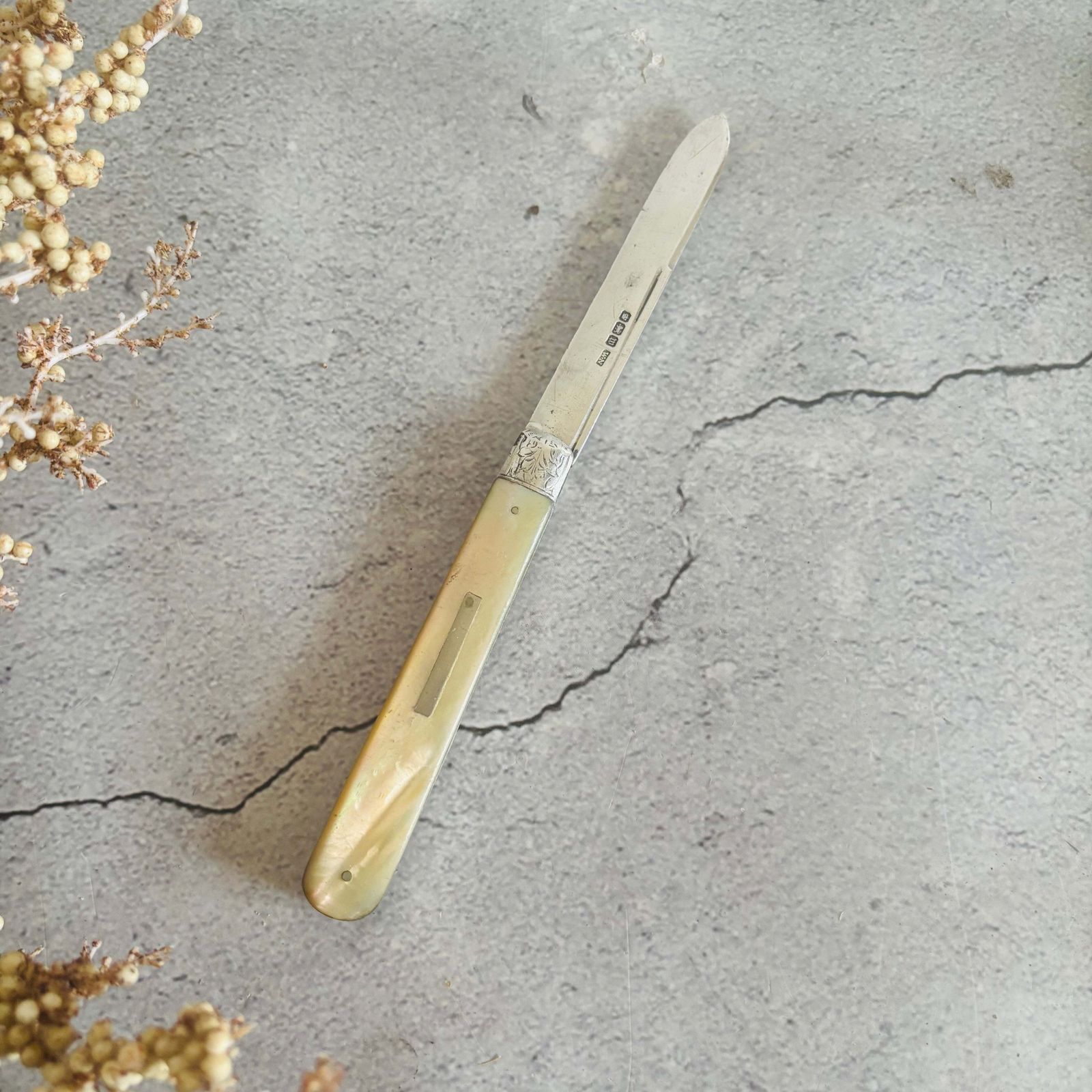 Silver And Mother Of Pearl Folding Fruit Knife 1914